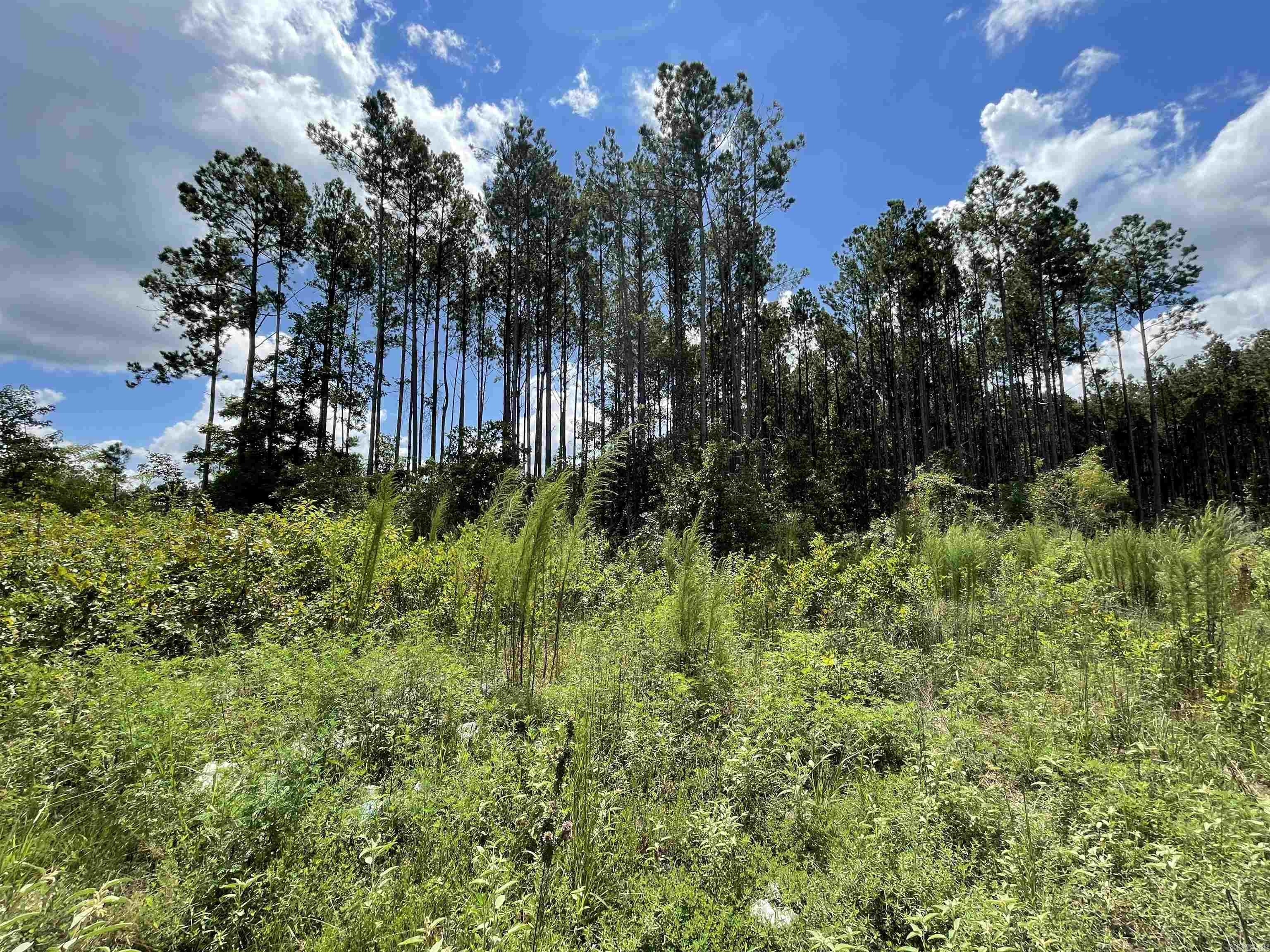 262 Mountain Pine Lot 39 Mabelvale, AR