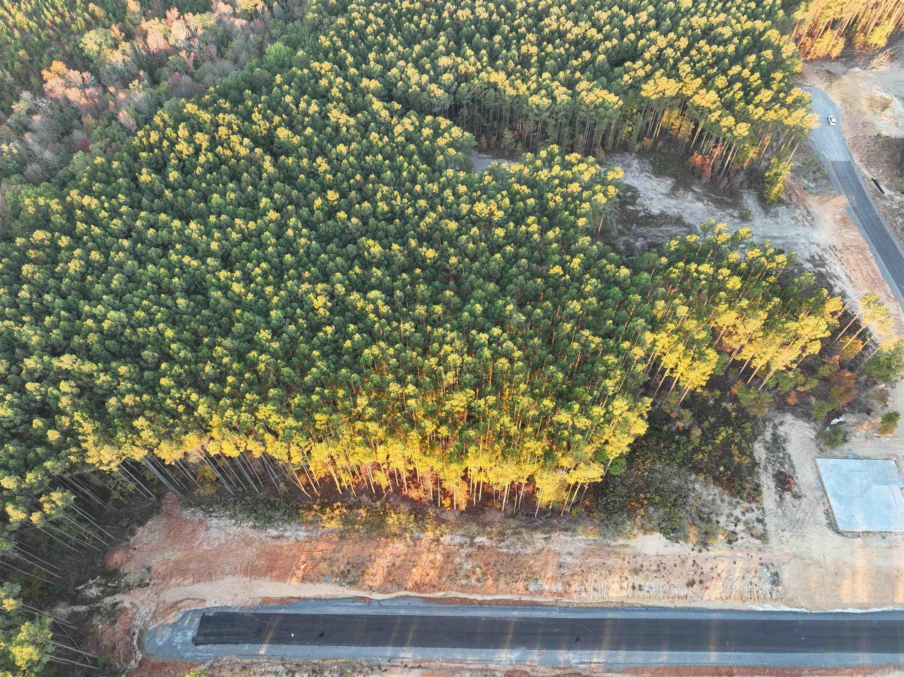 262 Mountain Pine Lot 39 Mabelvale, AR