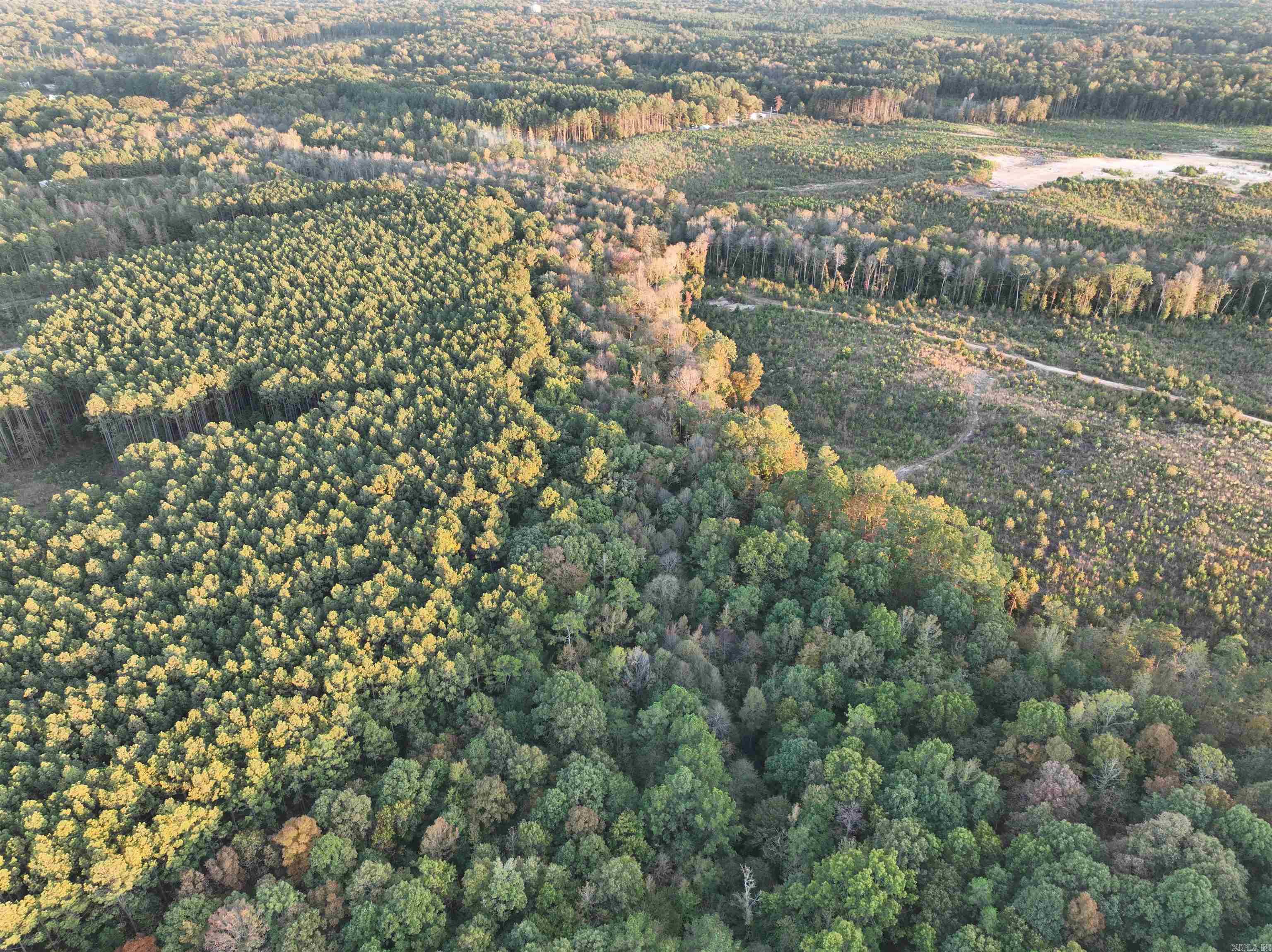 323 Bristlecone Lot 170 Mabelvale, AR