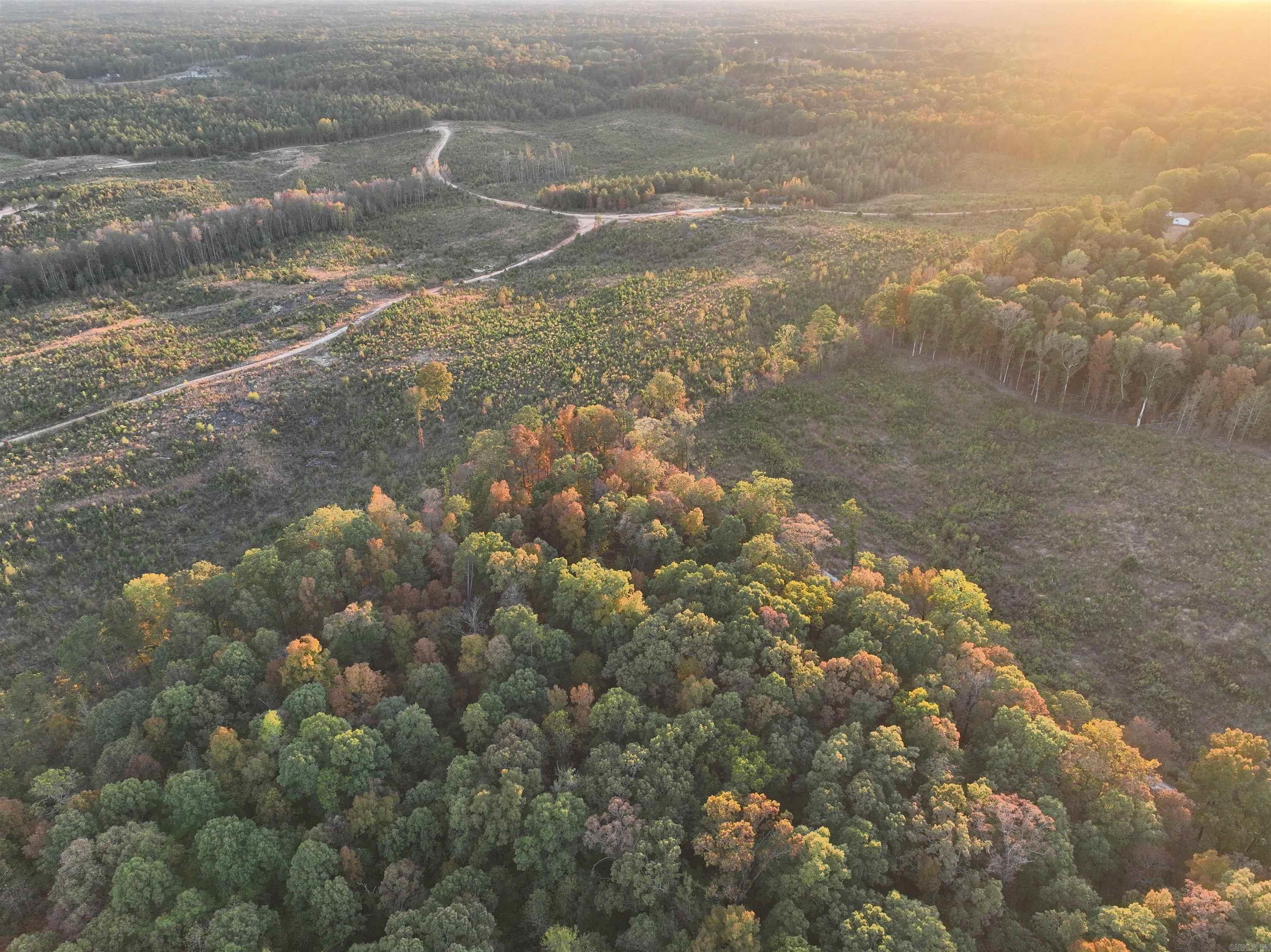 323 Bristlecone Lot 170 Mabelvale, AR