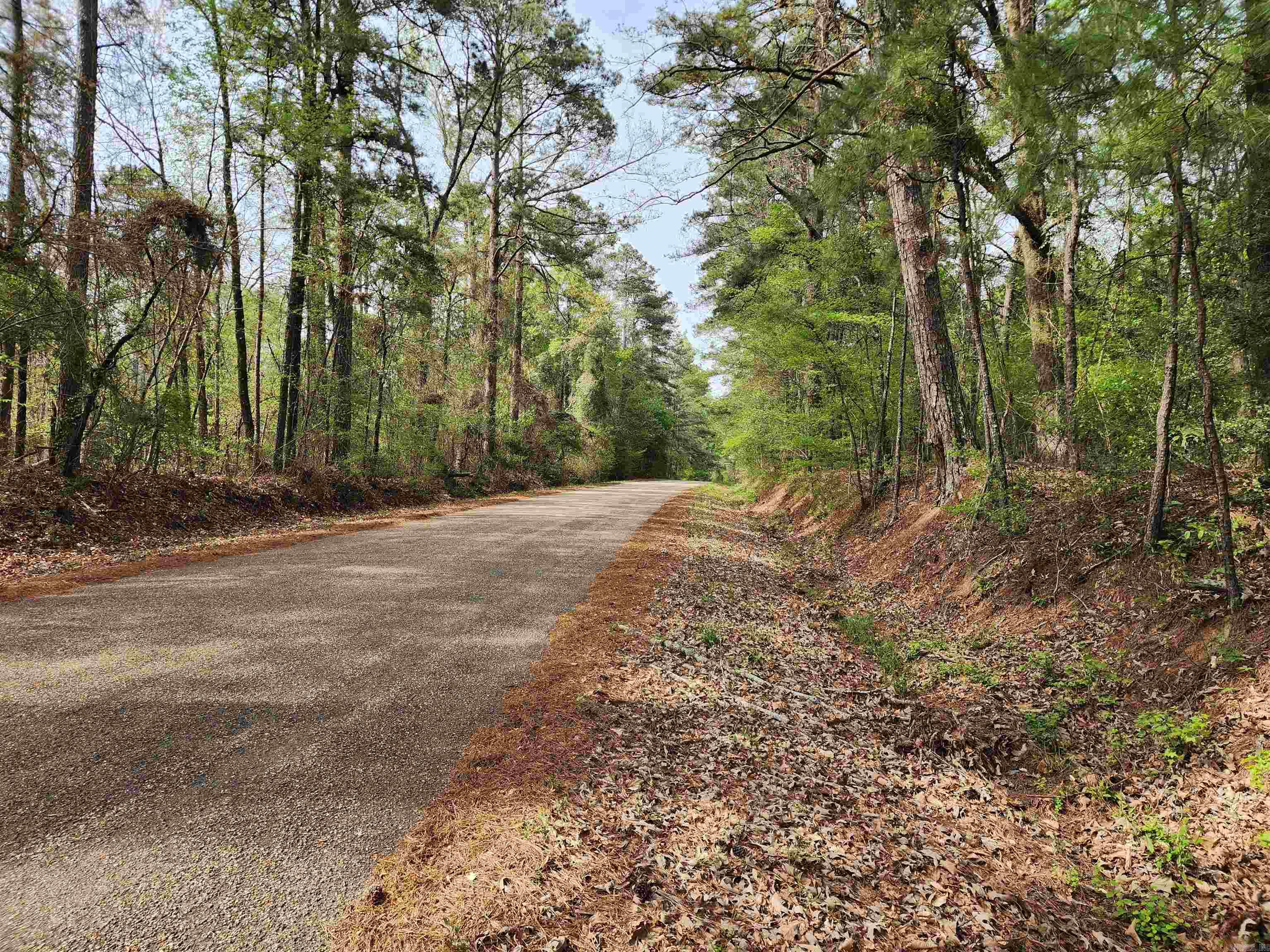 15.56 Acres Ouachita 63  Louann, AR