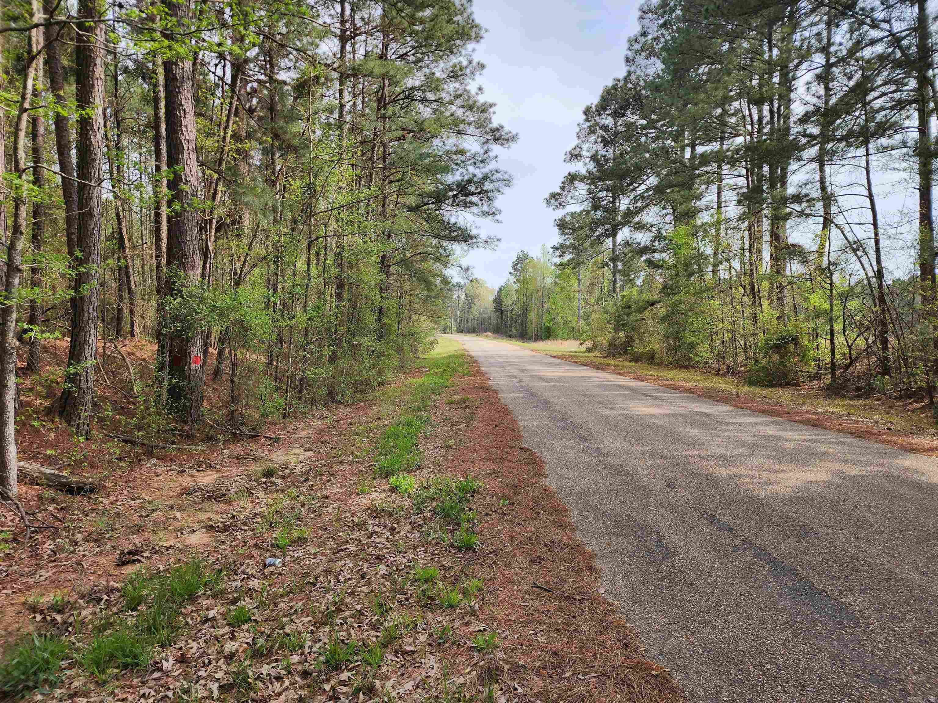 15.56 Acres Ouachita 63  Louann, AR