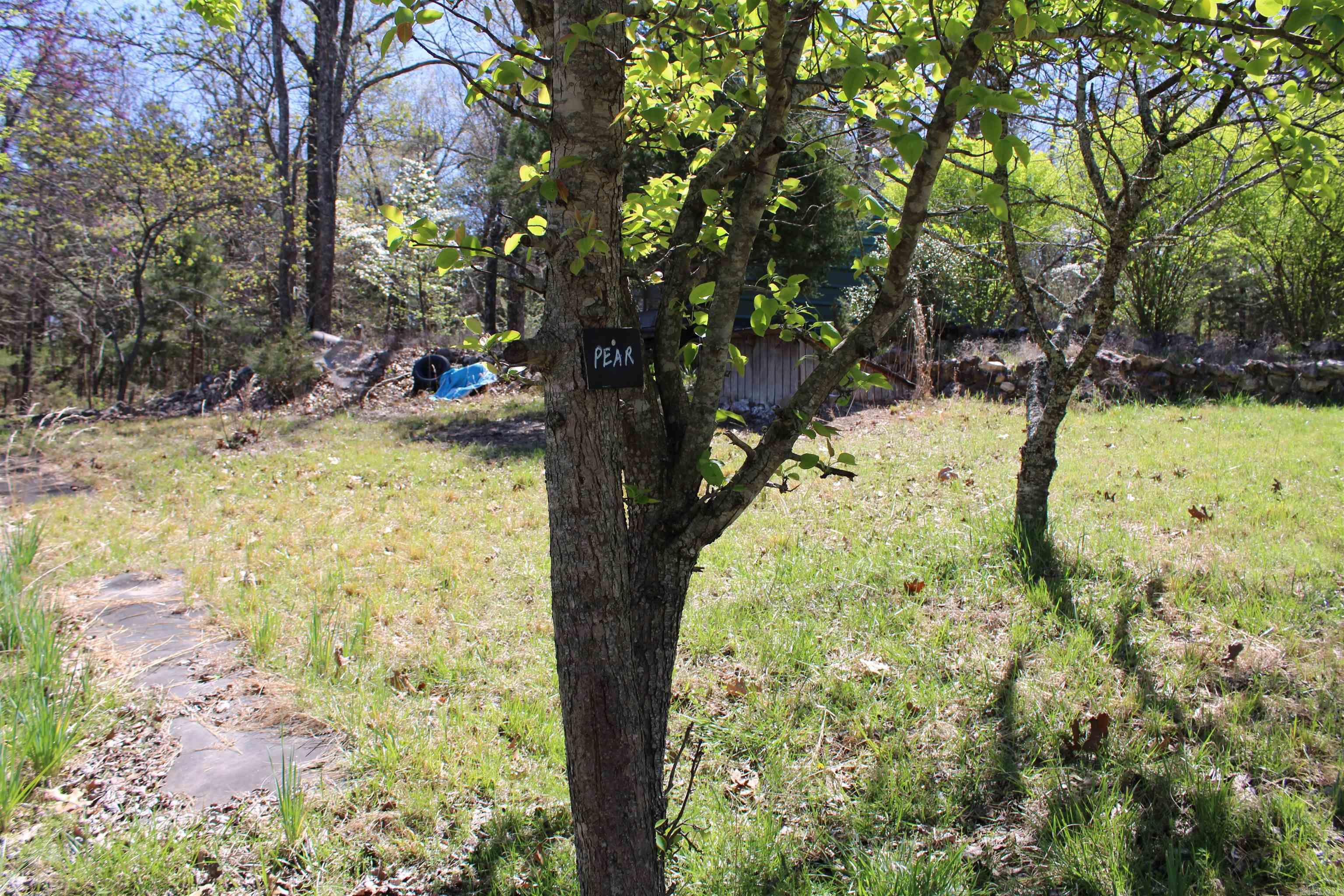 534 Oakley  Mountain Home, AR