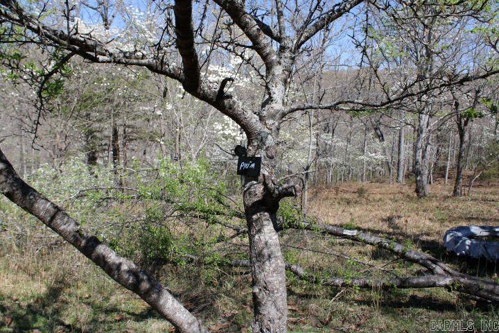 534 Oakley  Mountain Home, AR