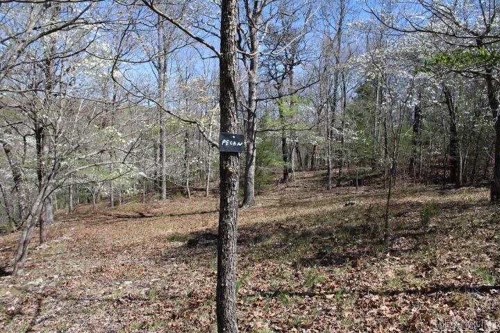 534 Oakley  Mountain Home, AR