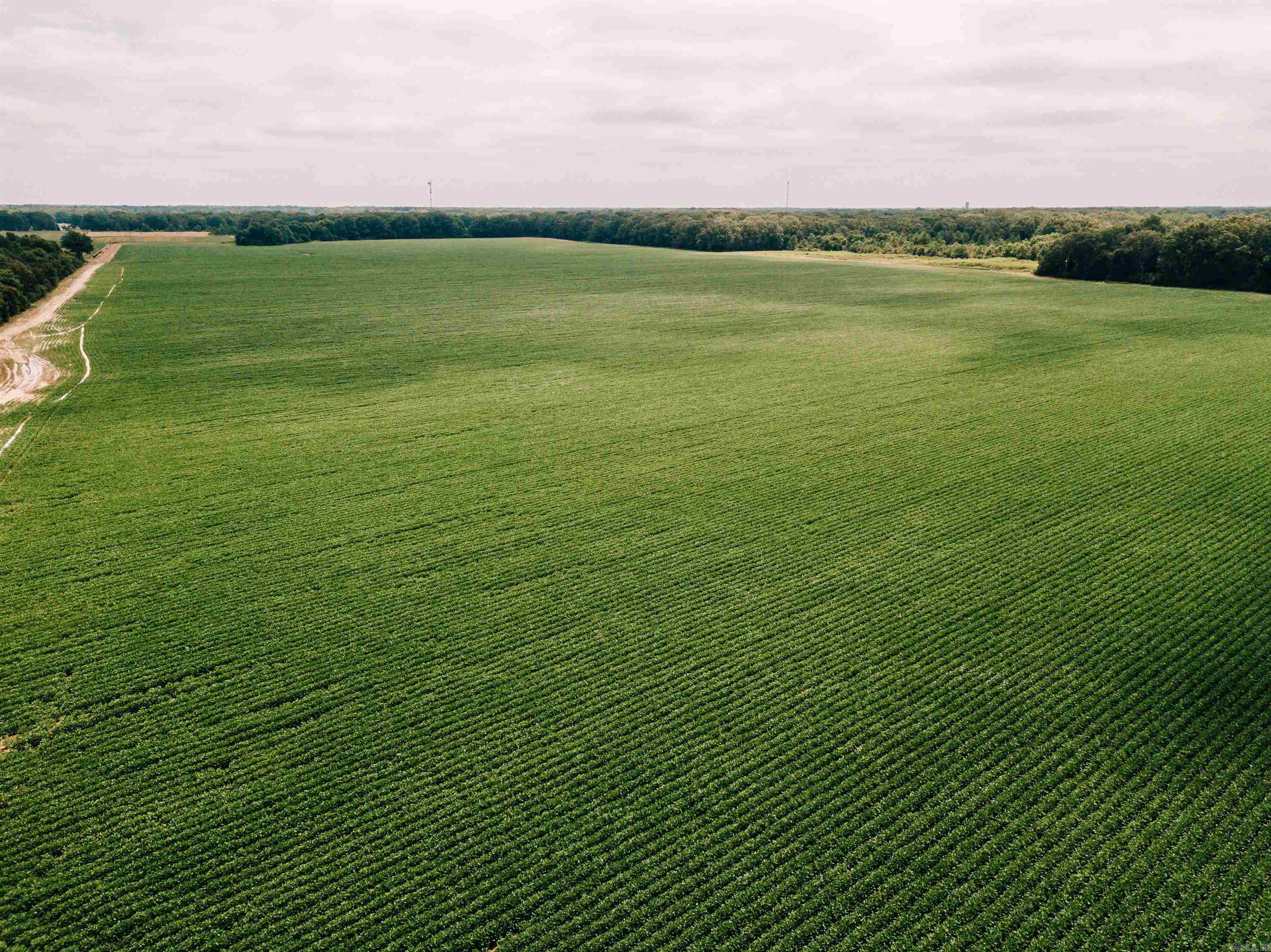 00 N Monroe  DeWitt, AR