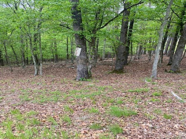 1 Darro  Hot Springs Village, AR