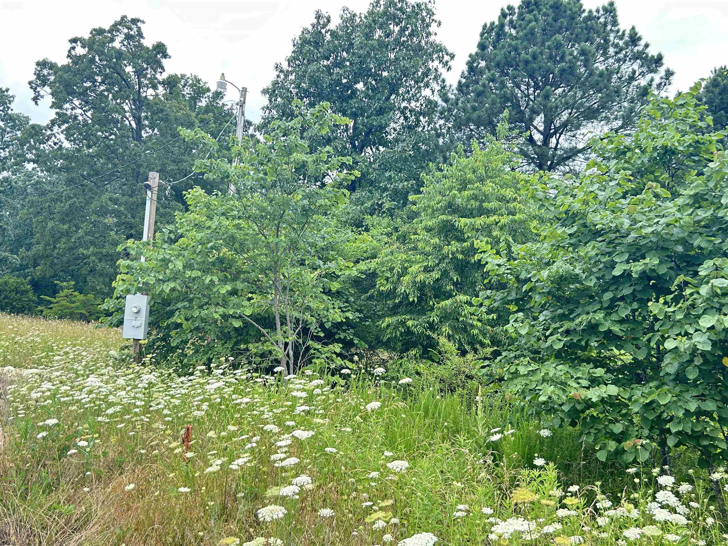 2269 62/412  Highland, AR