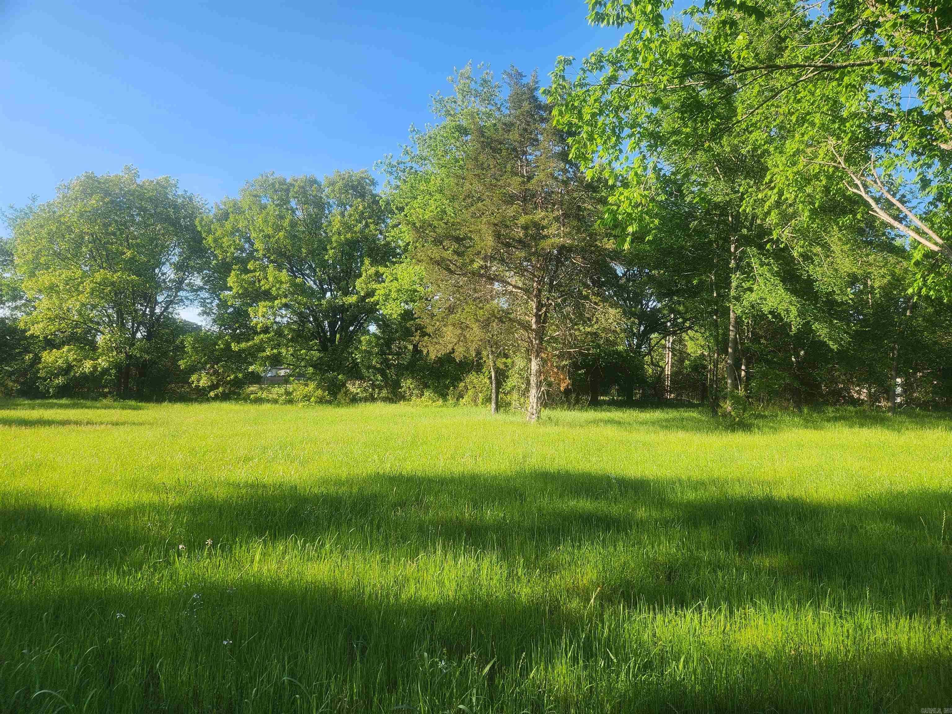 Tract 4 Castleberry Lane