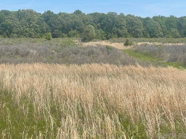 NW 1/4 SE 1/4 S 3 T2N R 6W  Hazen, AR