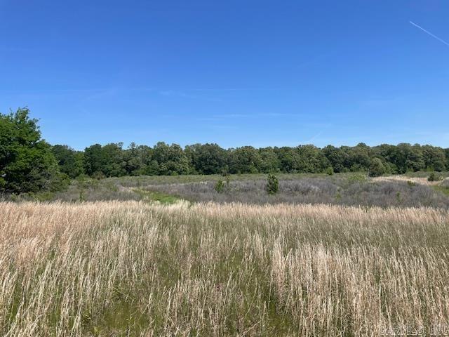 NW 1/4 SE 1/4 S 3 T2N R 6W  Hazen, AR