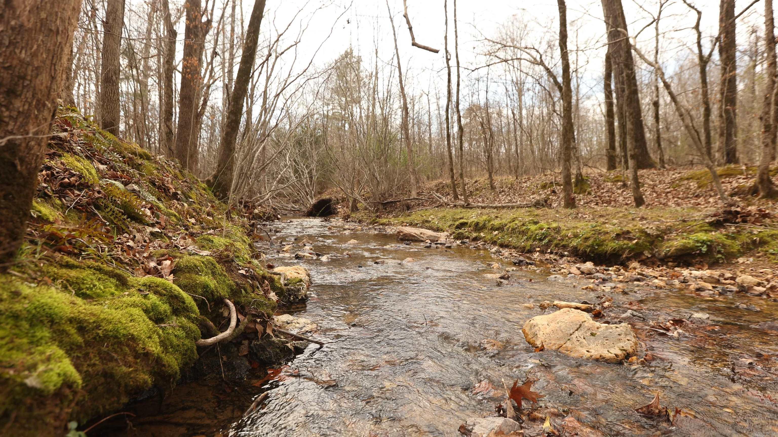 Lot 220 Bighorn  Benton, AR