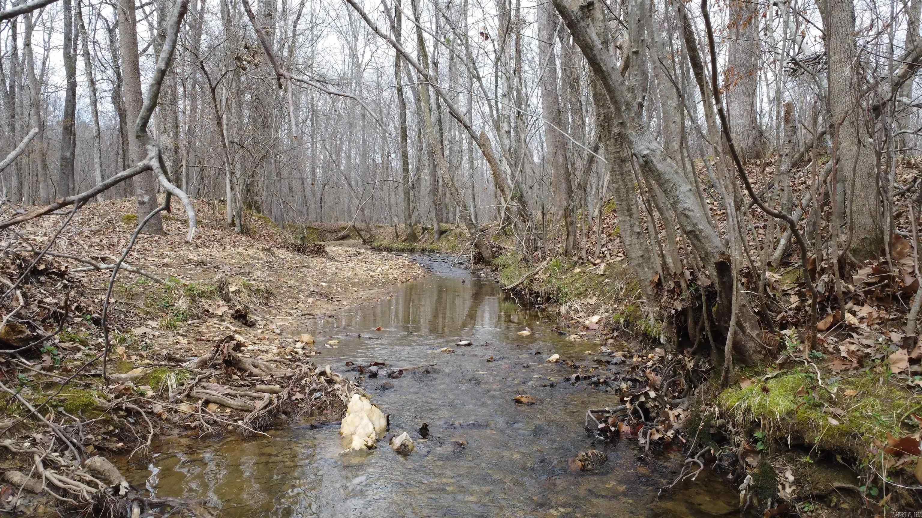 Lot 220 Bighorn  Benton, AR