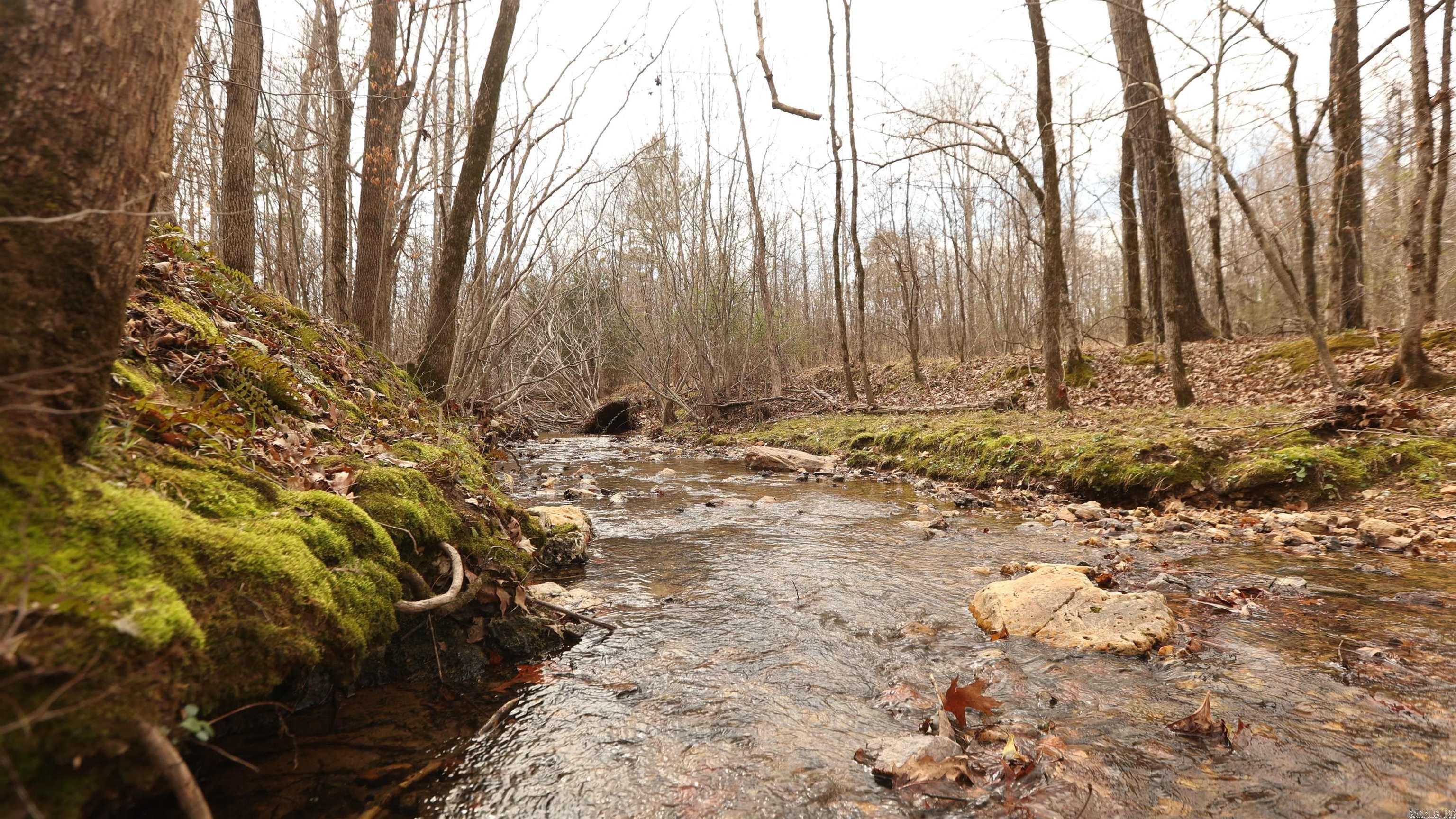 Lot 250 Bighorn  Benton, AR