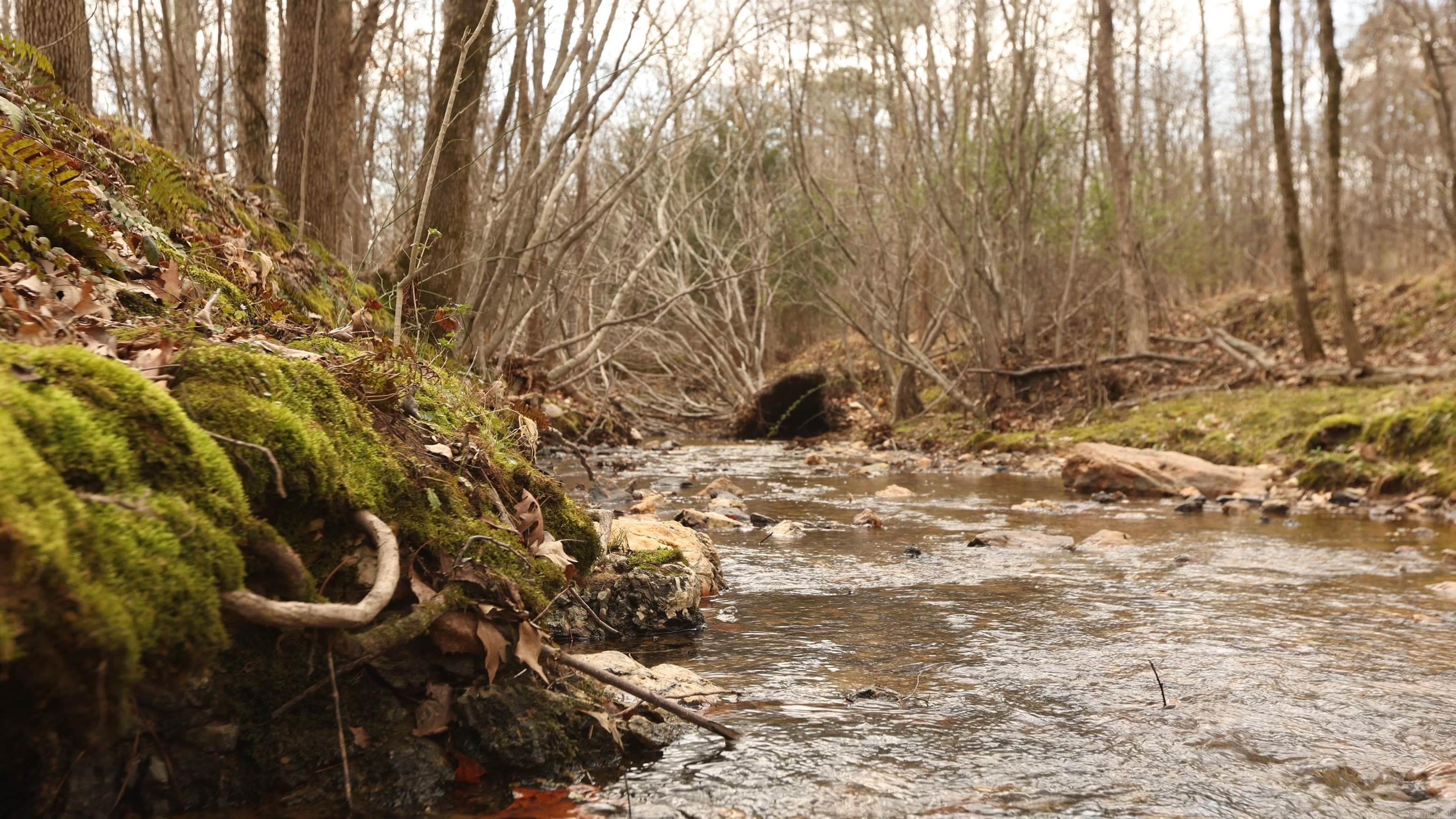 Lot 250 Bighorn  Benton, AR