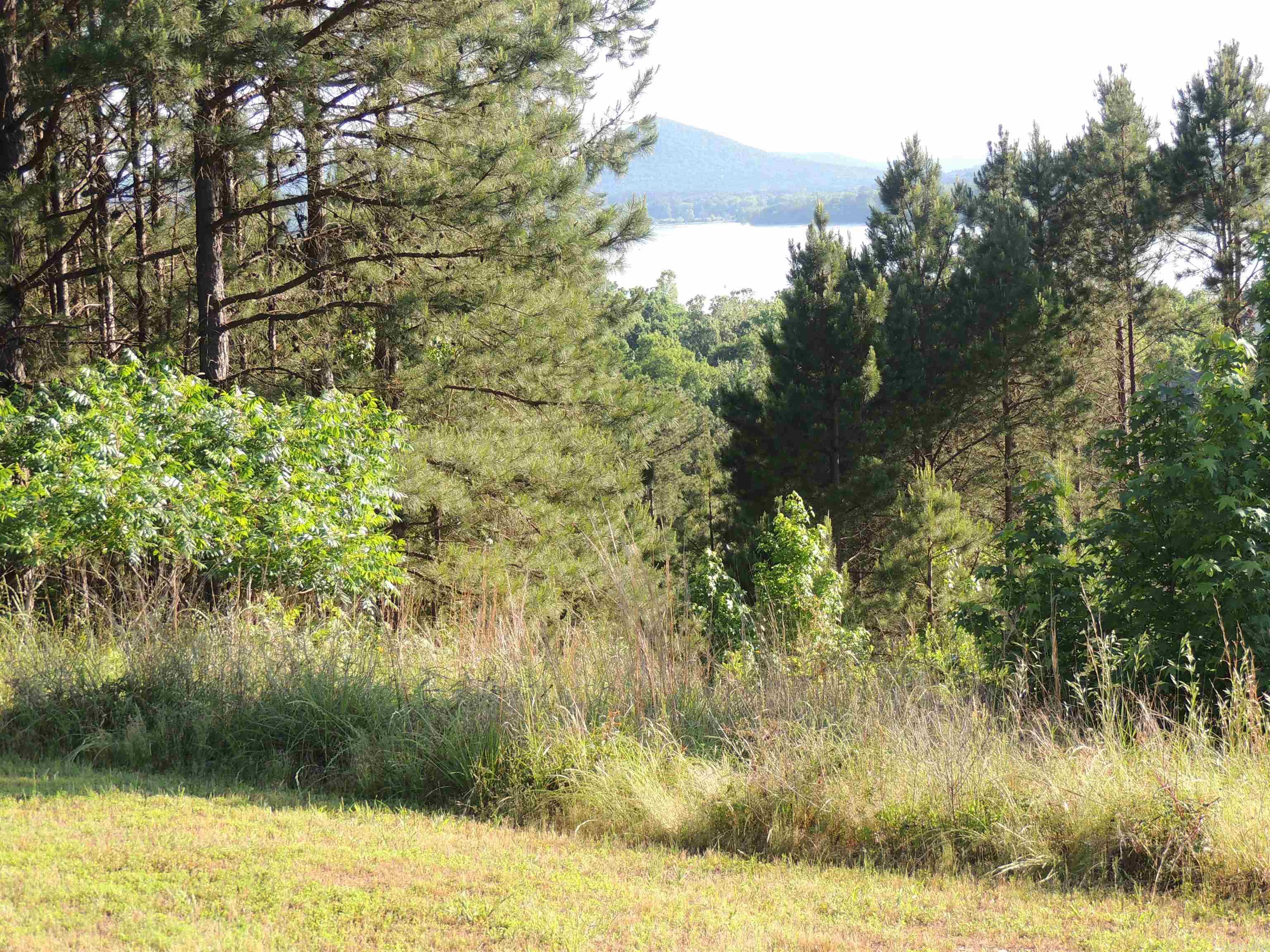 15309 Mountain View Dr Lot 39 Maumelle, AR