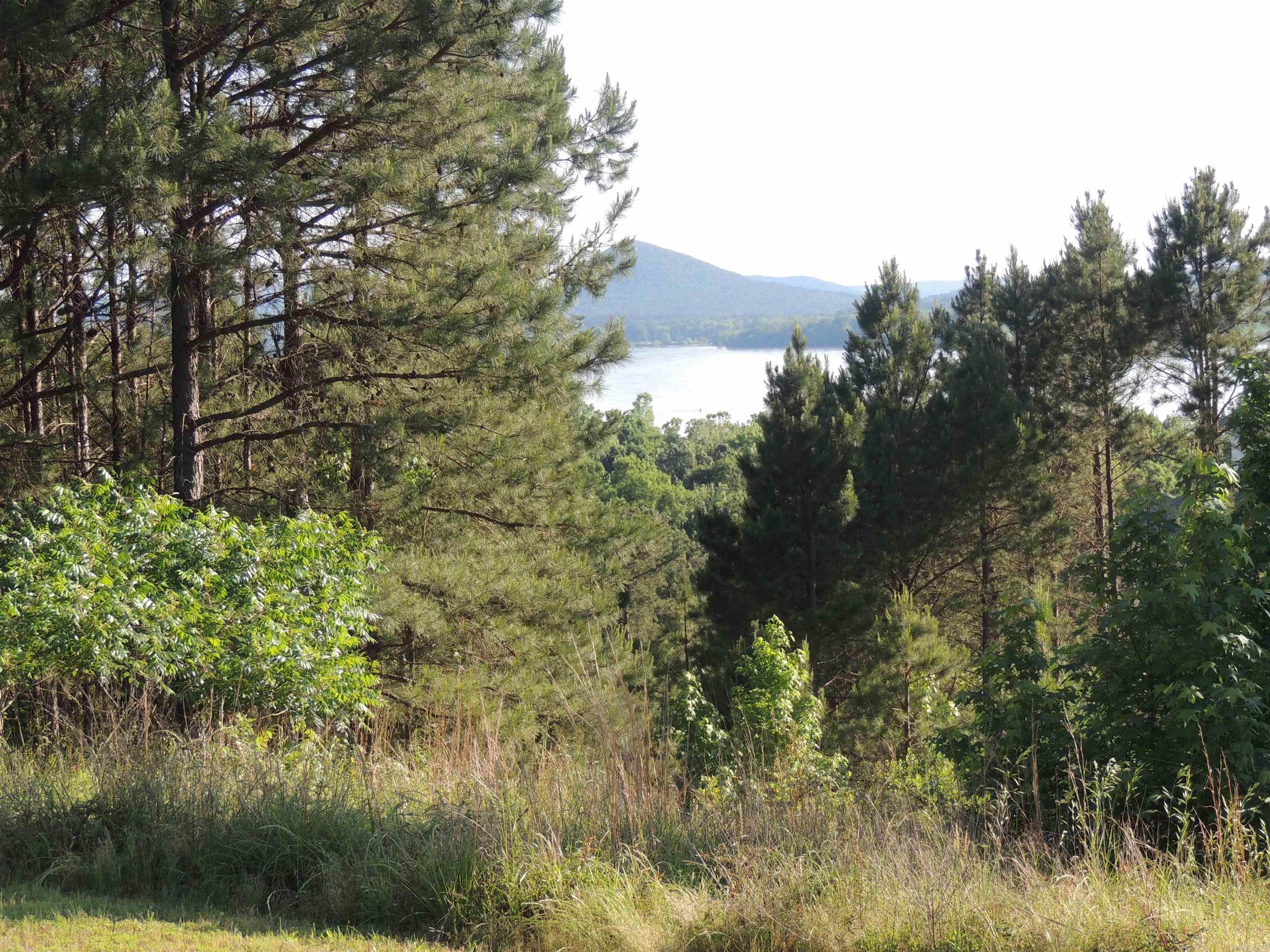 15309 Mountain View Dr Lot 39 Maumelle, AR