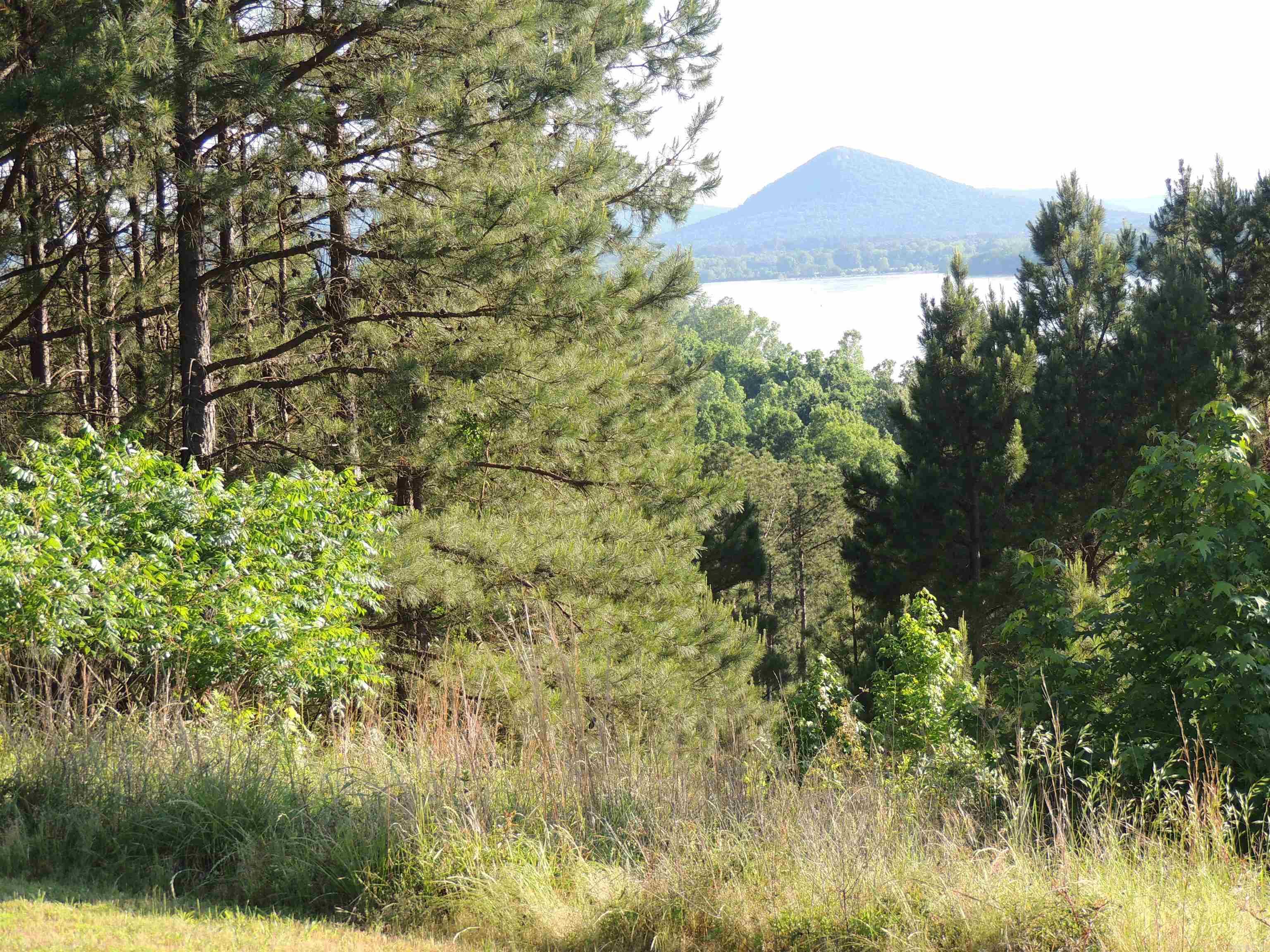 15309 Mountain View Dr Lot 39 Maumelle, AR