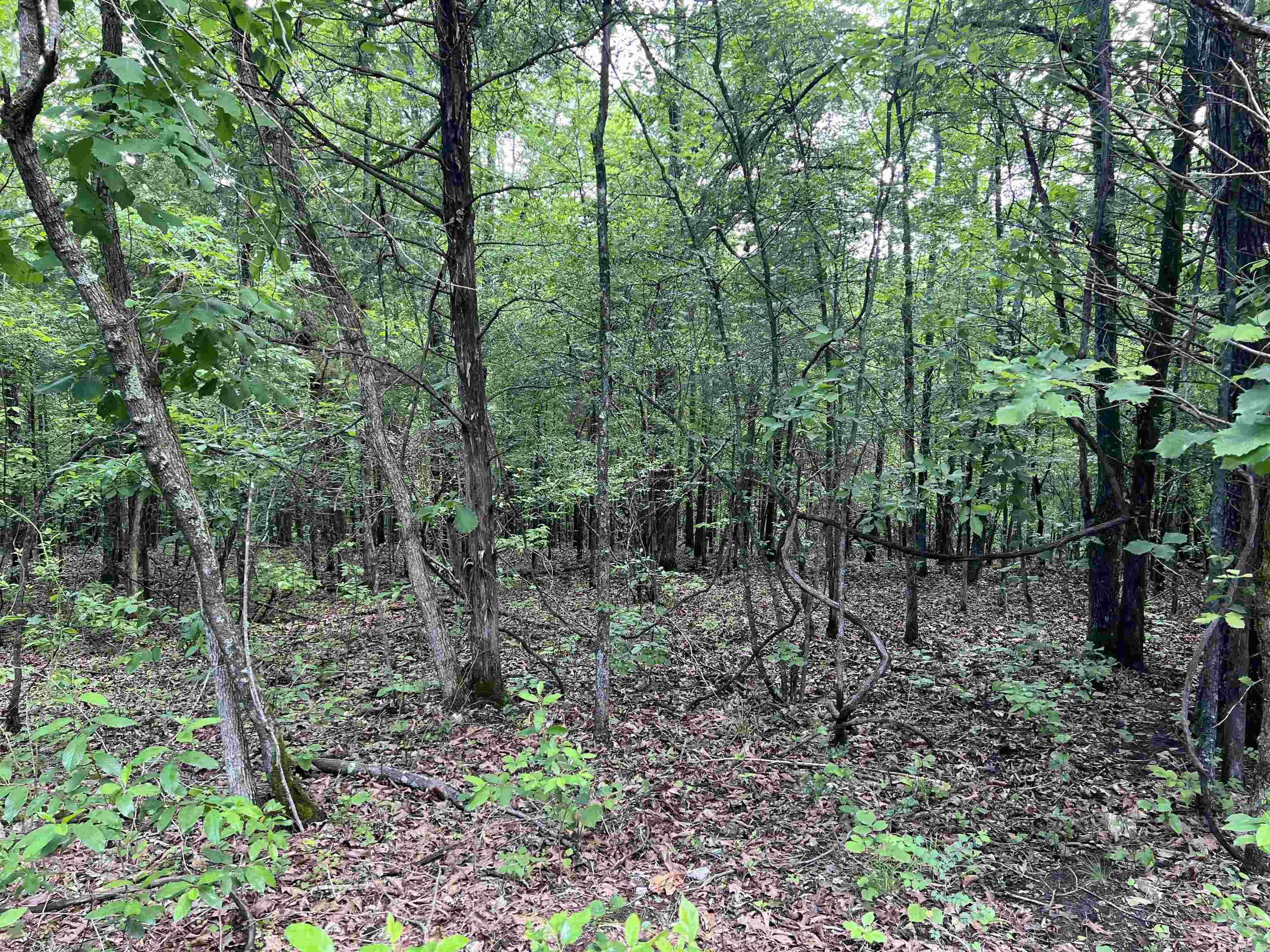  Meadow Creek  Harrison, AR