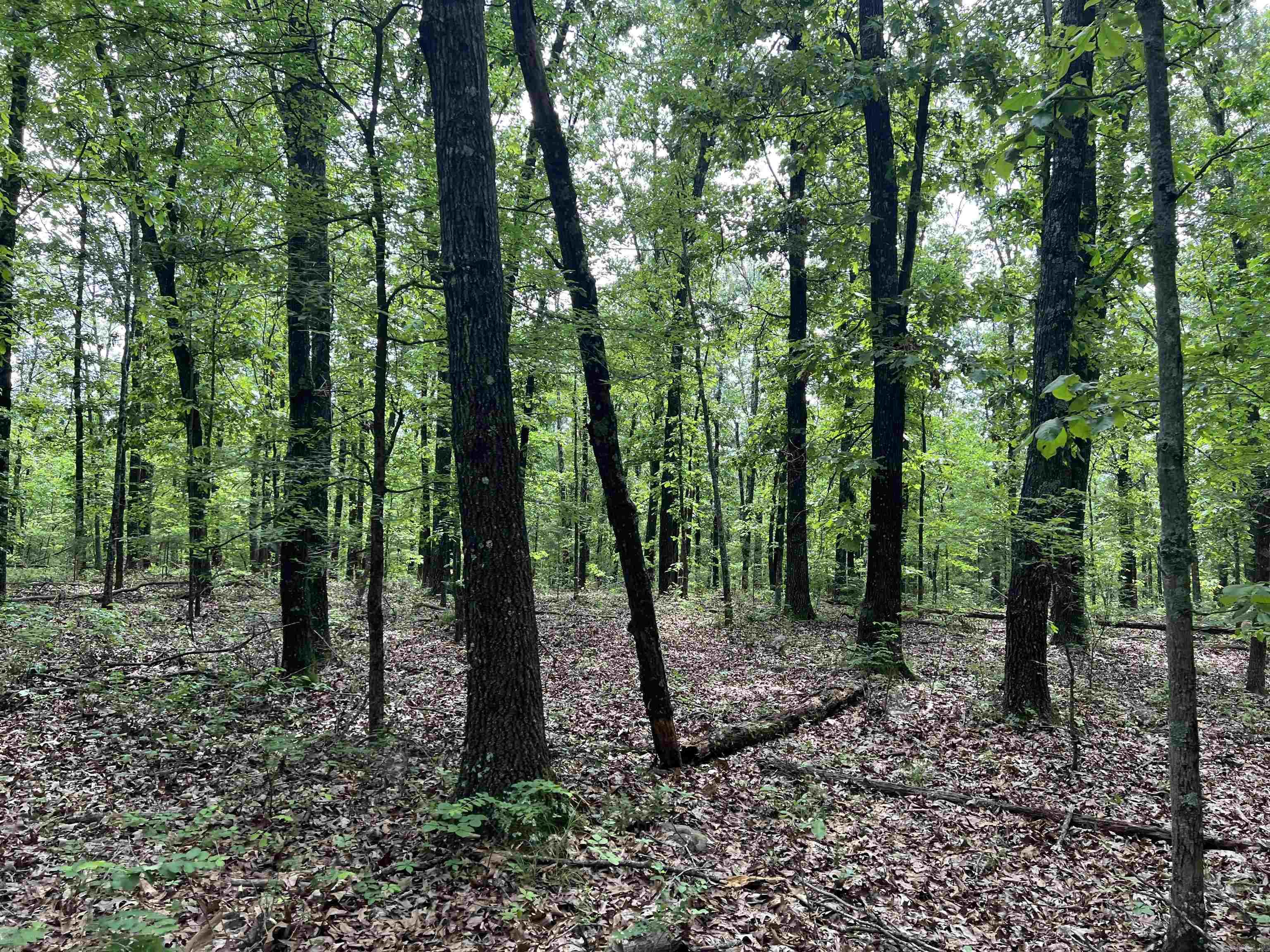  8.72 Acres on Meadow Creek  Harrison, AR