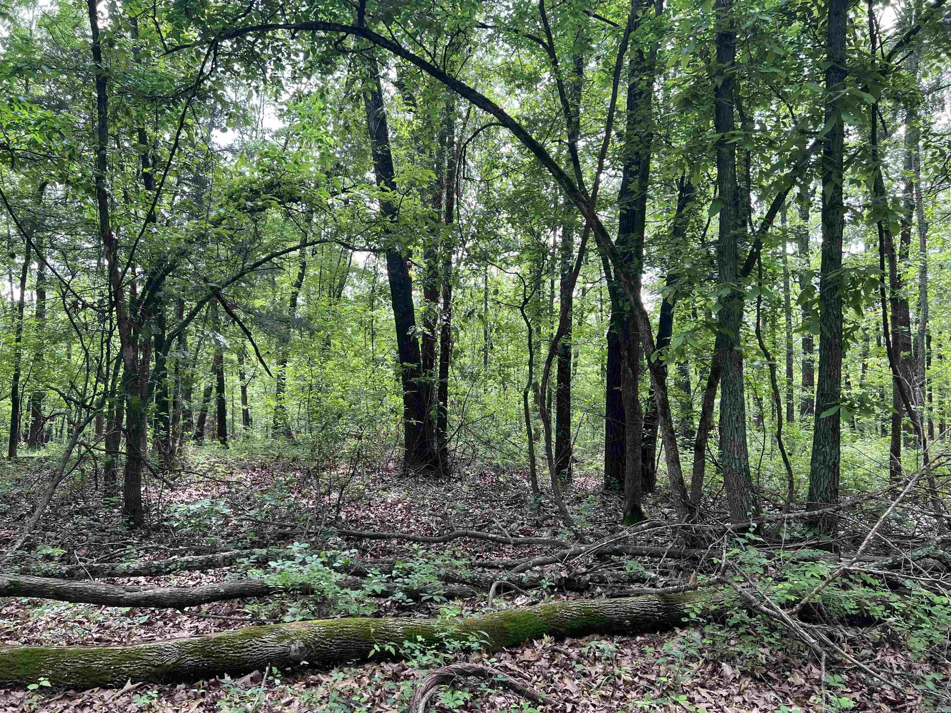  8.72 Acres on Meadow Creek  Harrison, AR