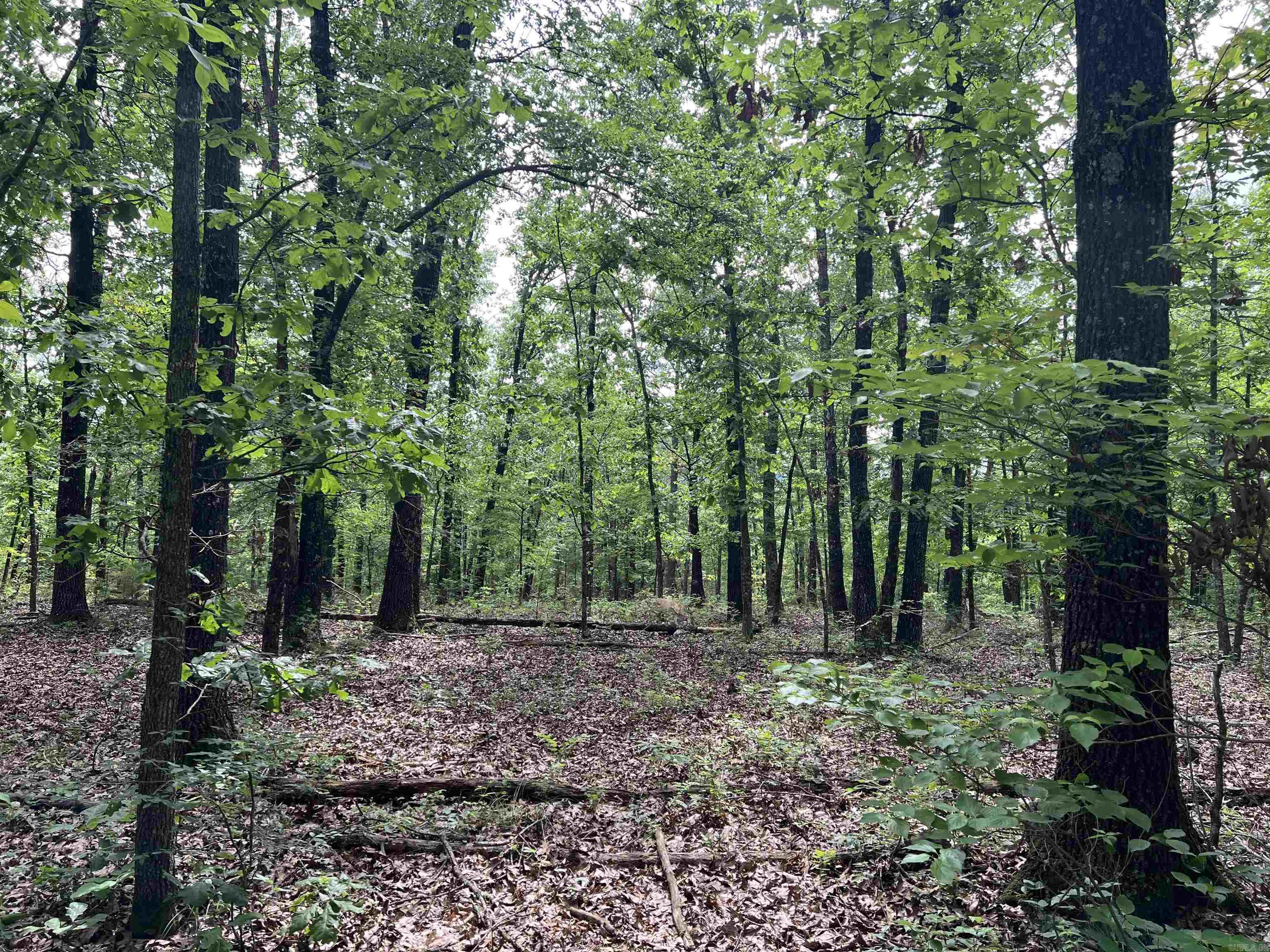  8.72 Acres on Meadow Creek  Harrison, AR