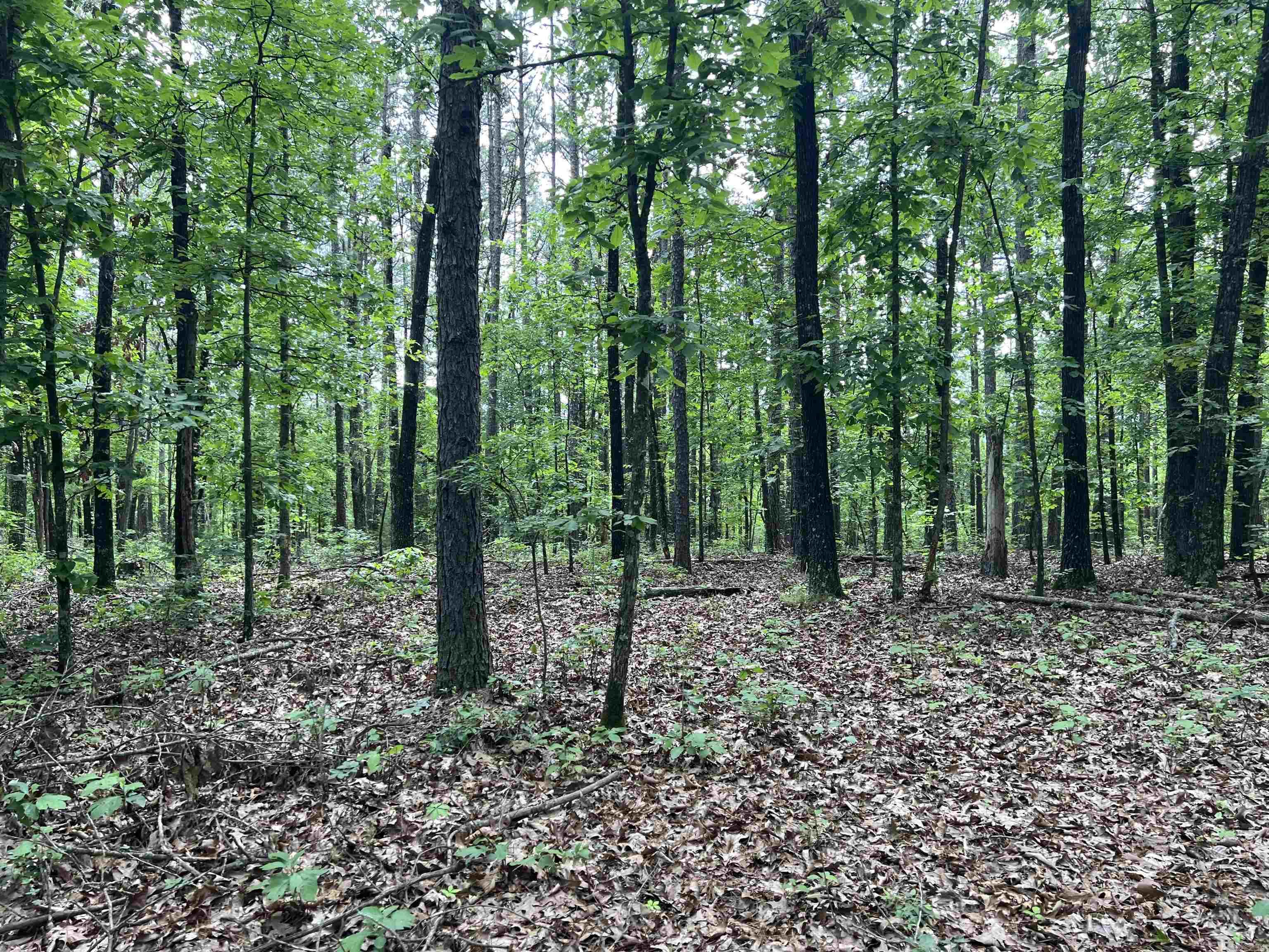  8.72 Acres on Meadow Creek  Harrison, AR