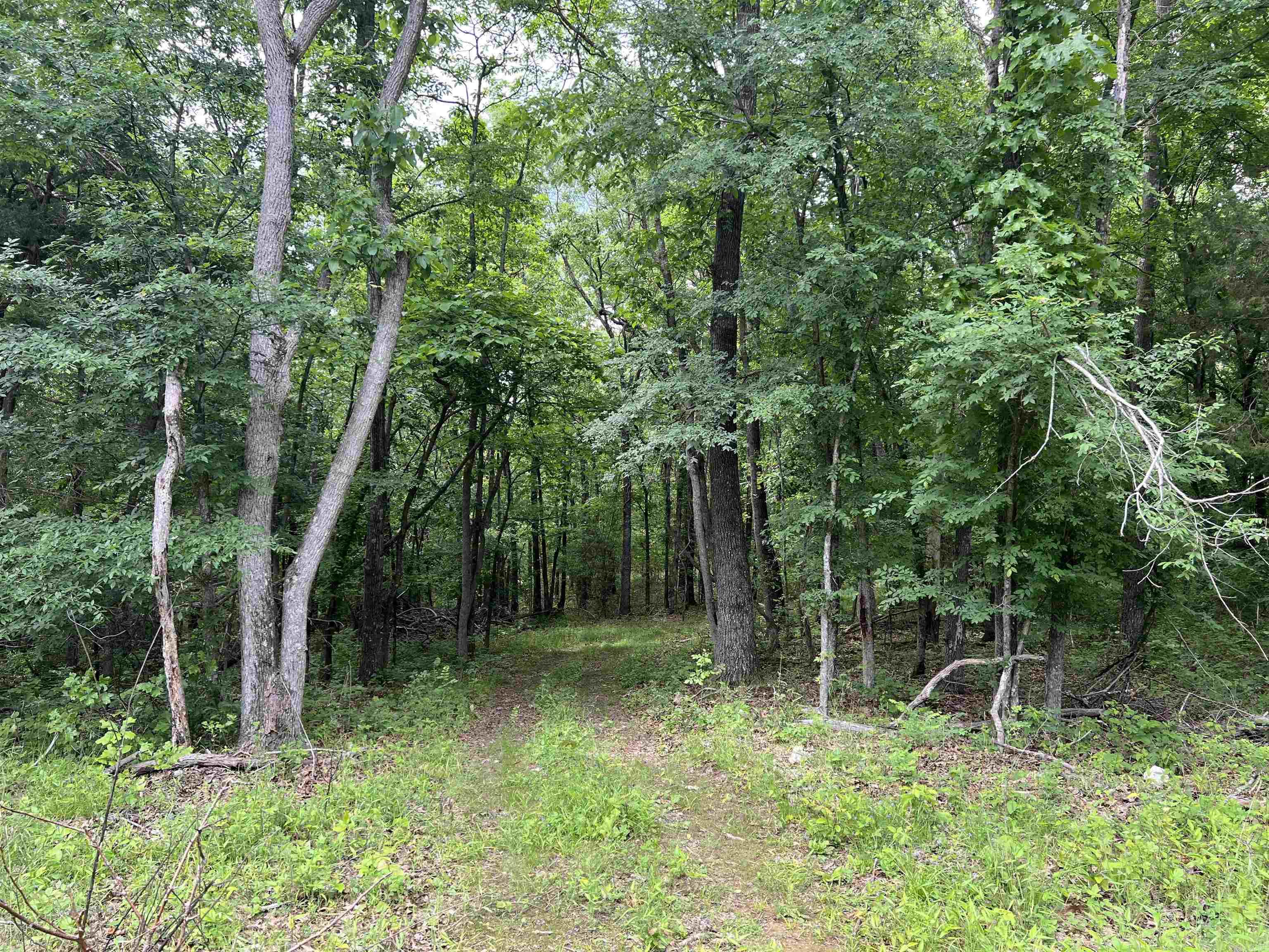 8.72 Acres on Meadow Creek  Harrison, AR