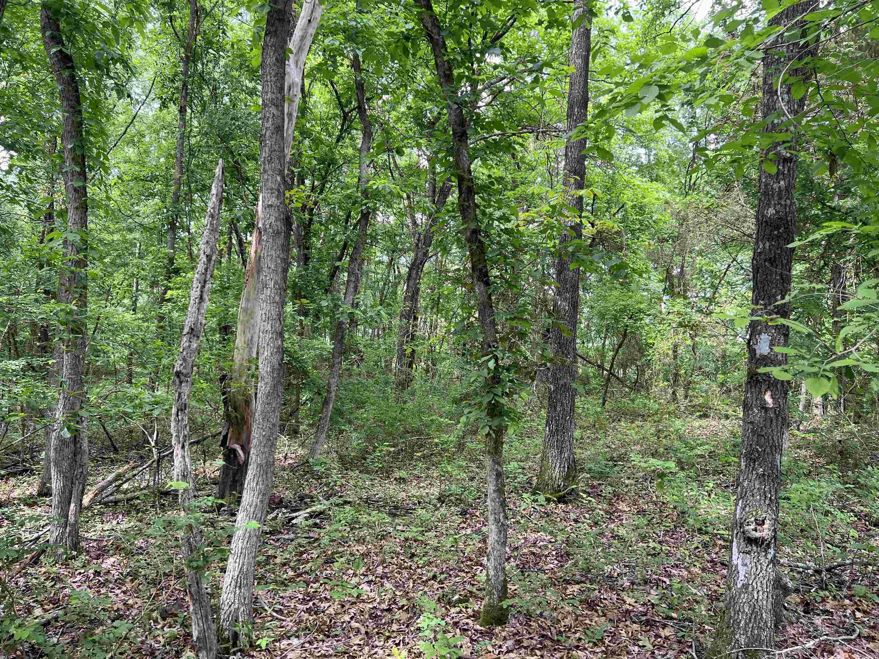  8.72 Acres on Meadow Creek  Harrison, AR