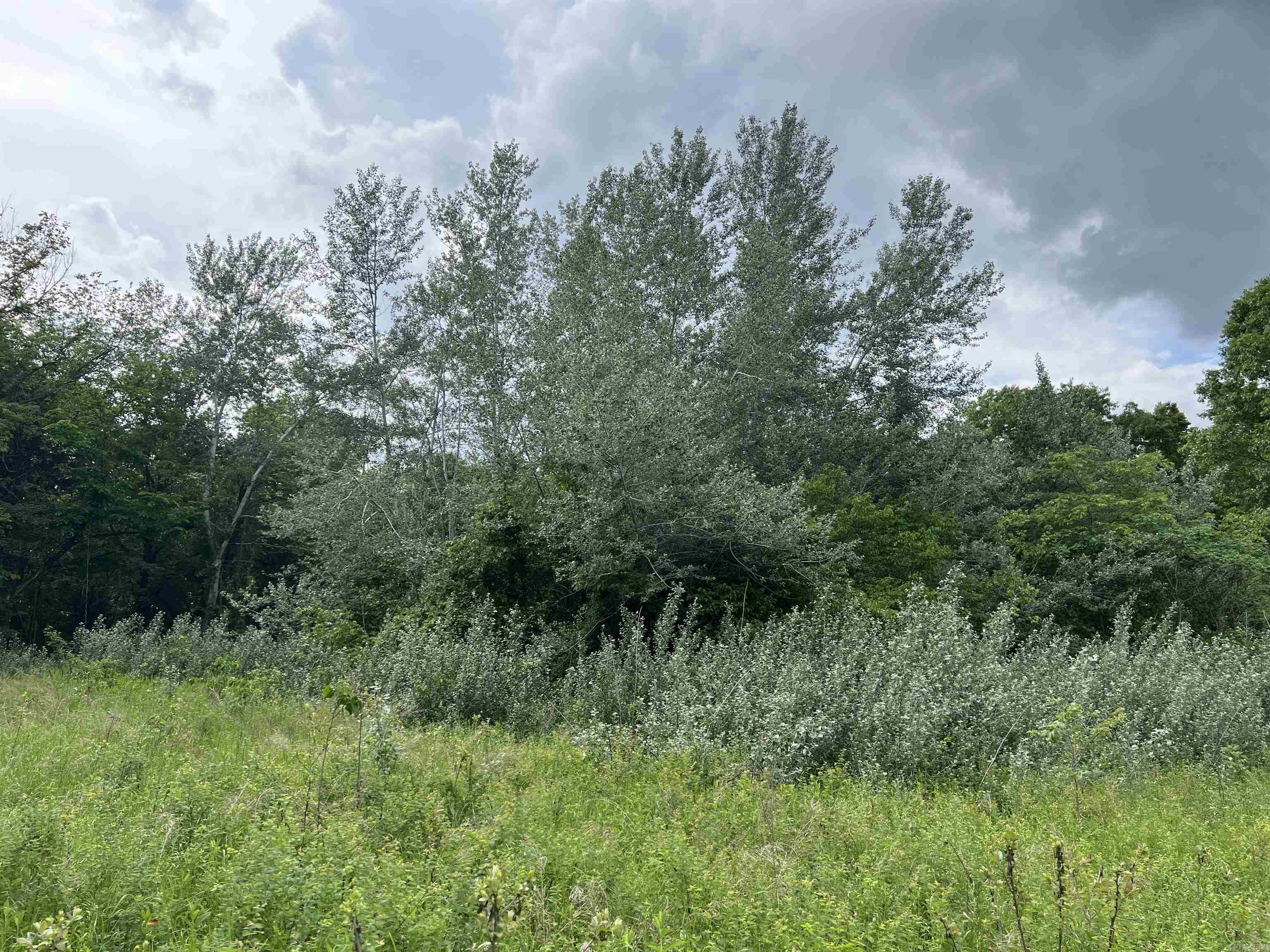  8.72 Acres on Meadow Creek  Harrison, AR