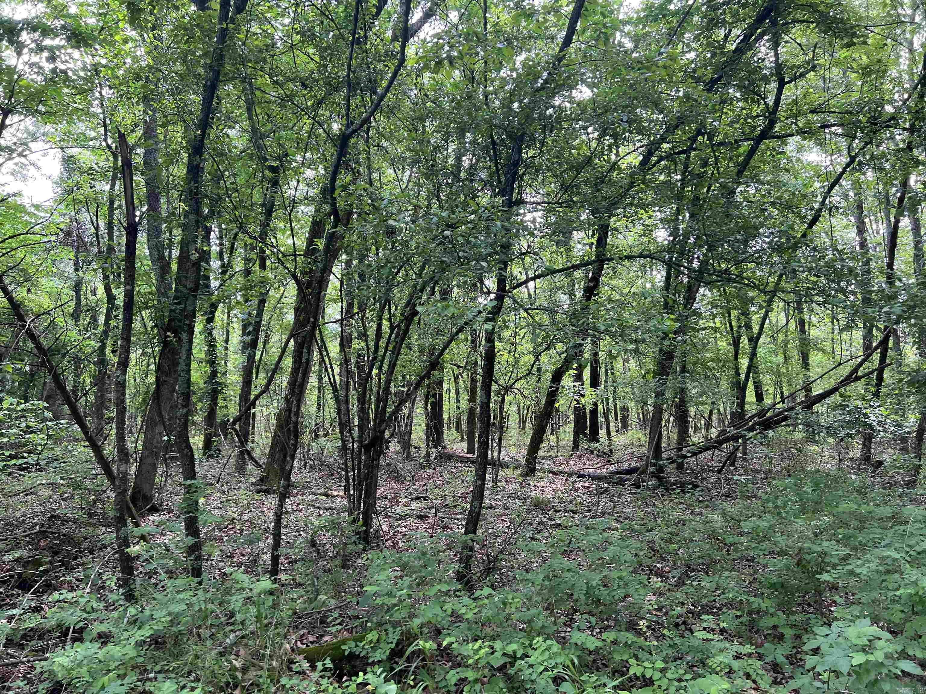  8.72 Acres on Meadow Creek  Harrison, AR