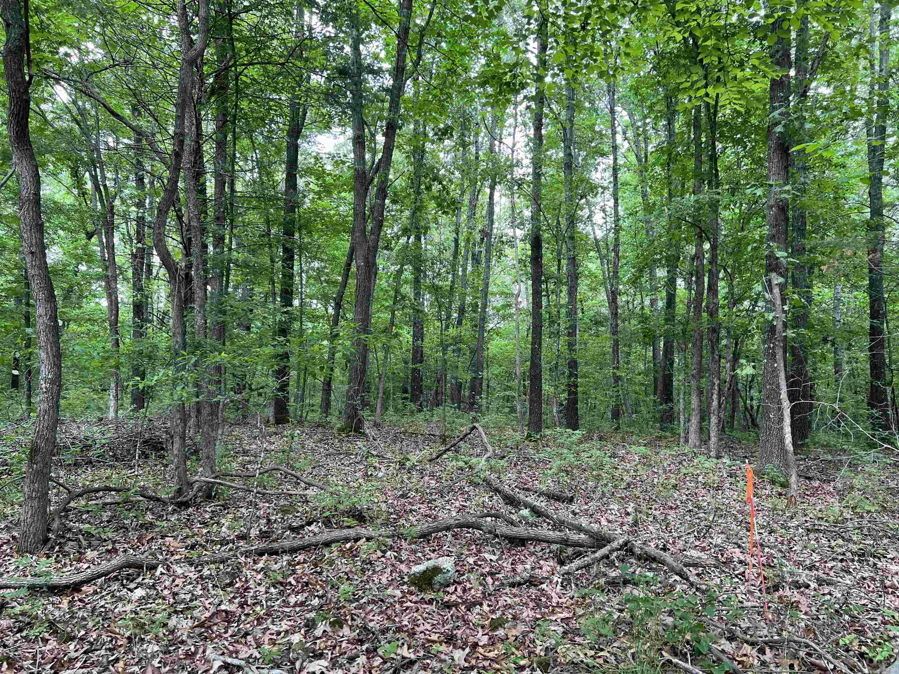  6 Acres on Meadow Creek  Harrison, AR