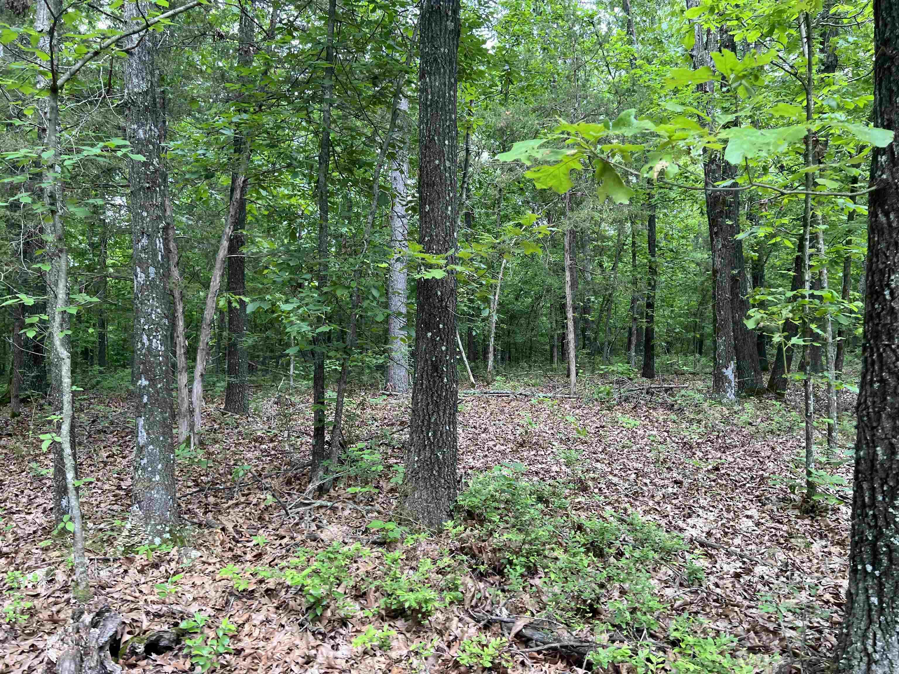  12 Acres on Meadow Creek  Harrison, AR