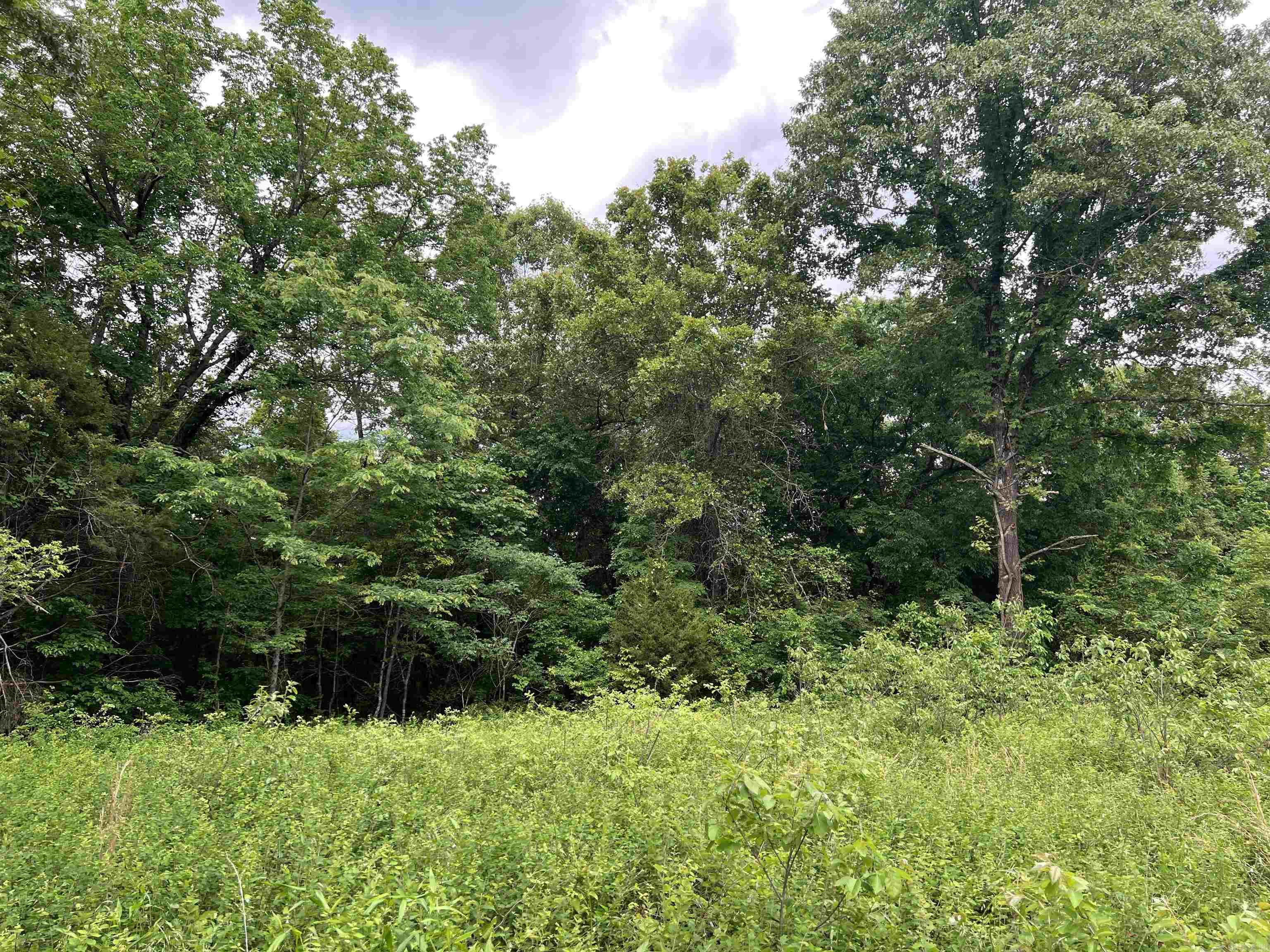  12 Acres on Meadow Creek  Harrison, AR