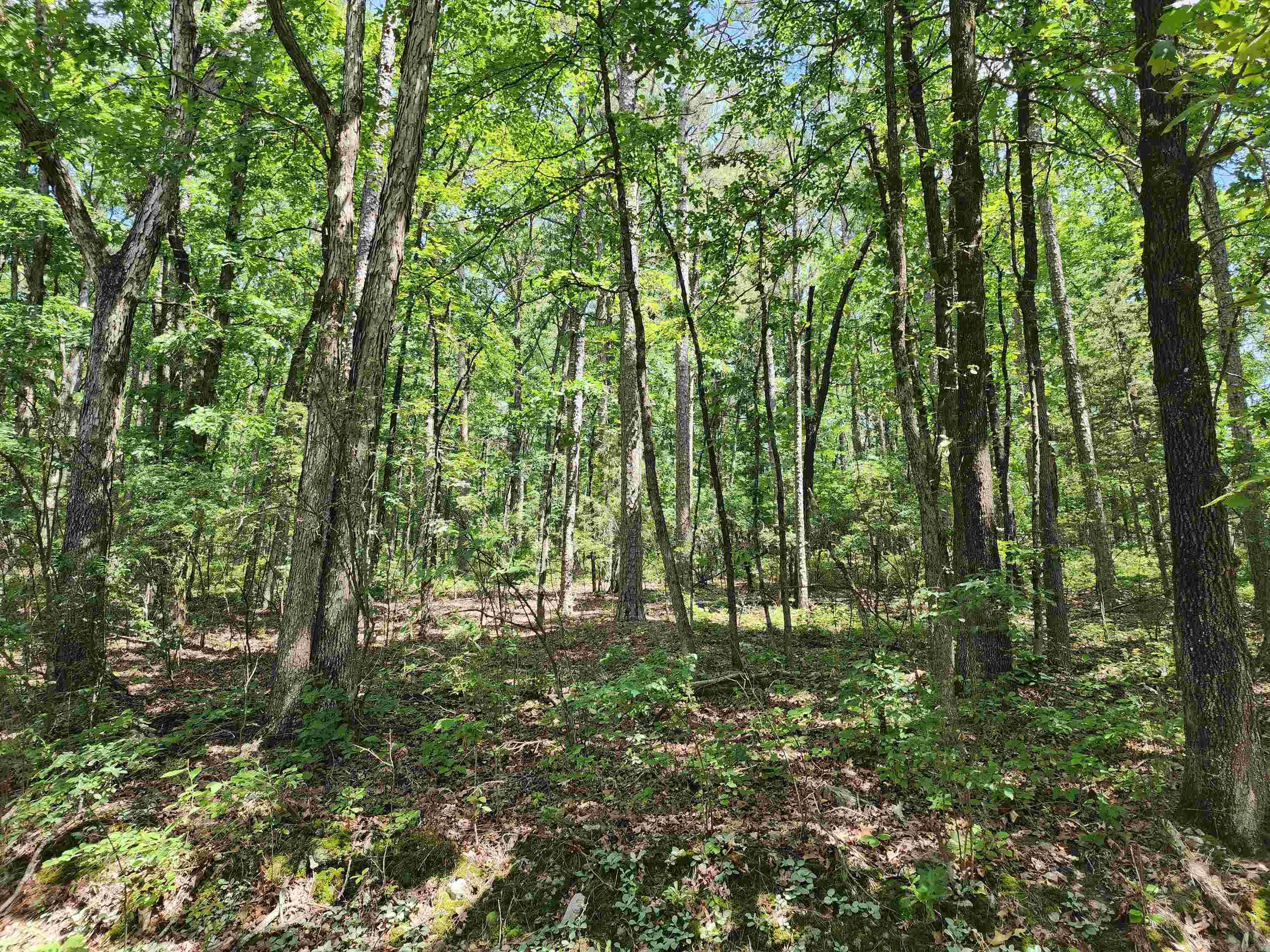 12 Belmonte  Hot Springs Village, AR