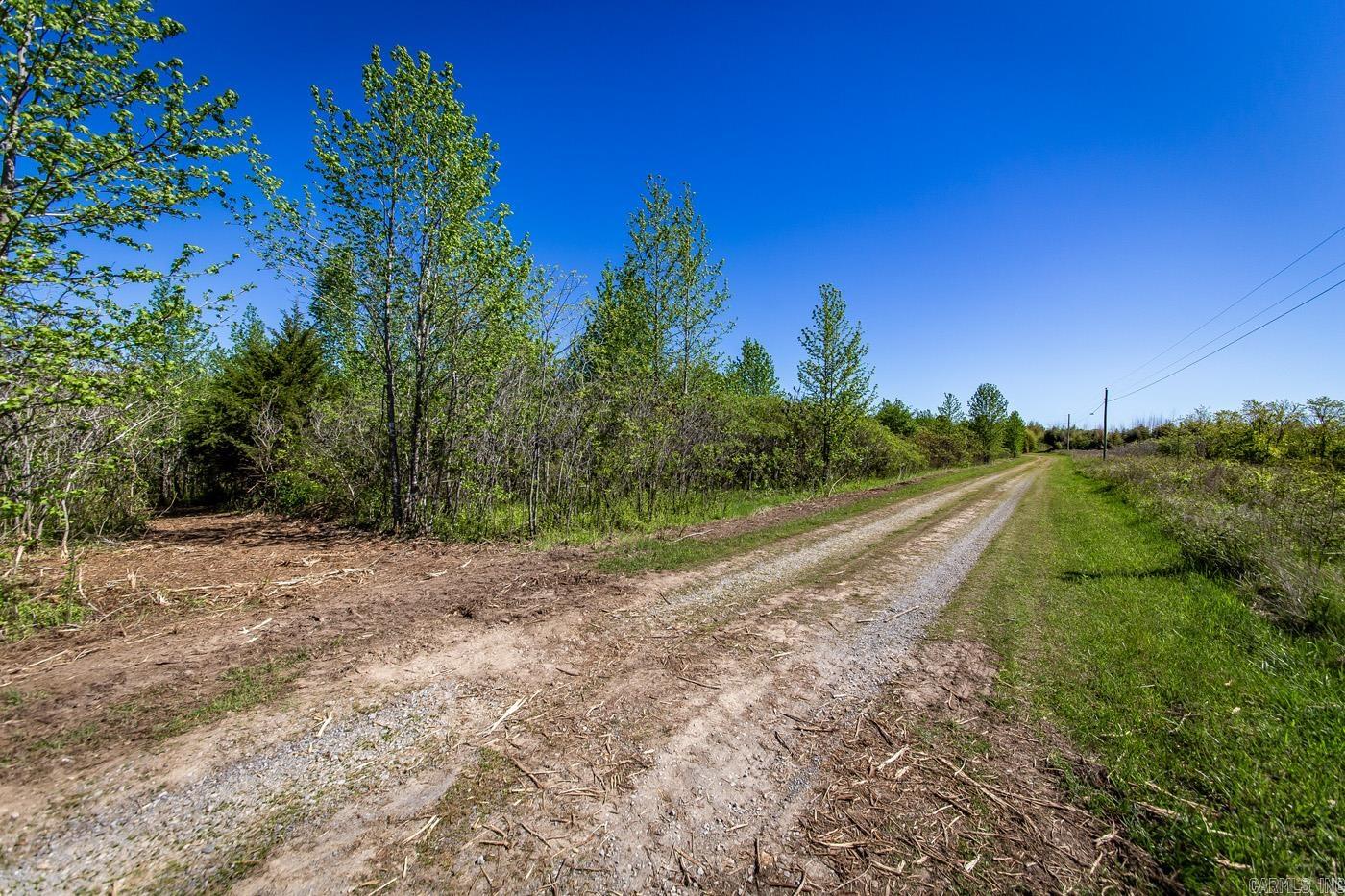 00 Buena Vista  Clinton, AR