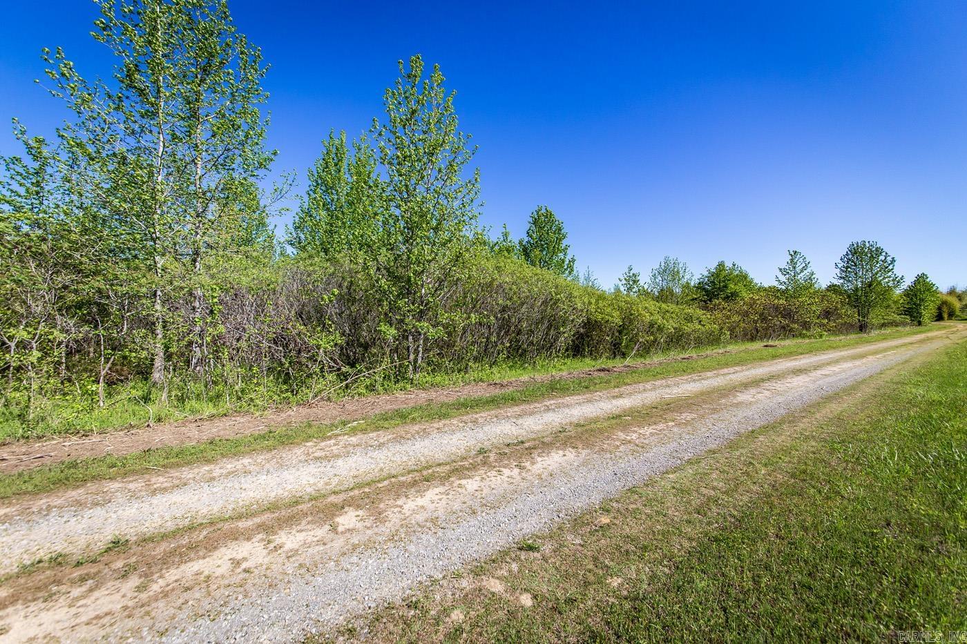 00 Buena Vista  Clinton, AR