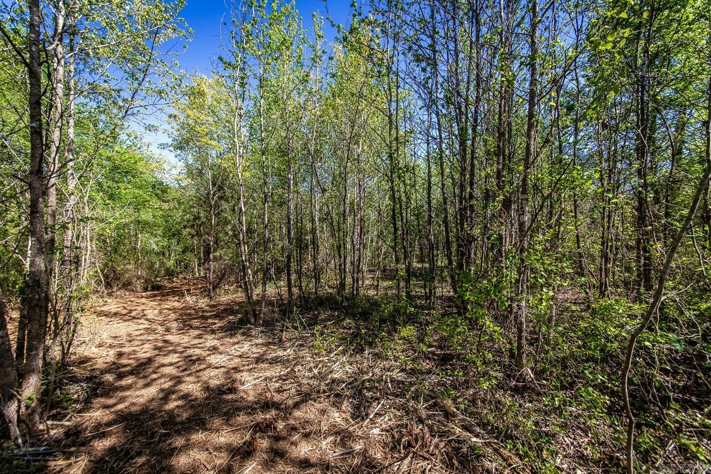 00 Buena Vista  Clinton, AR