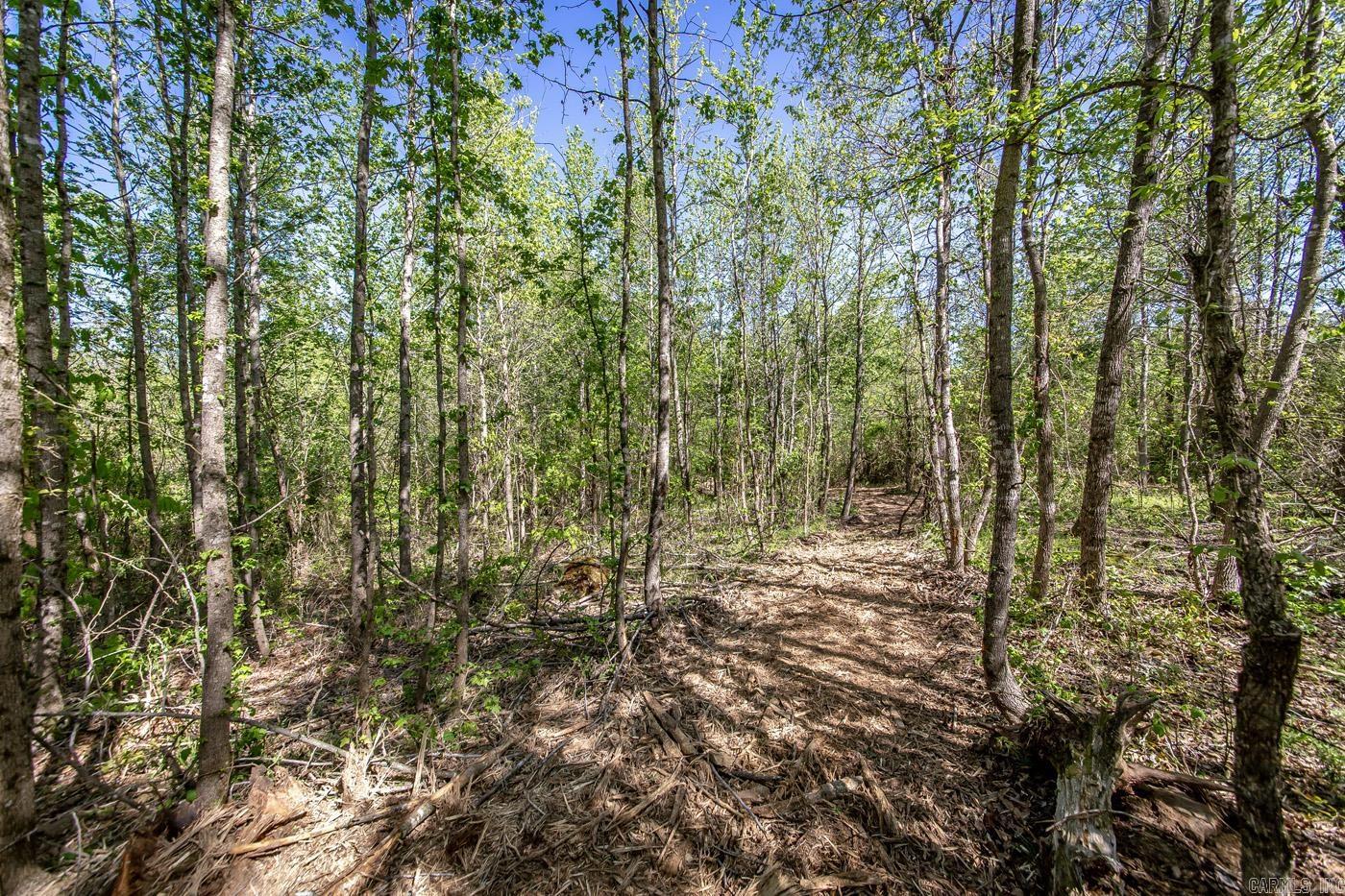 00 Buena Vista  Clinton, AR