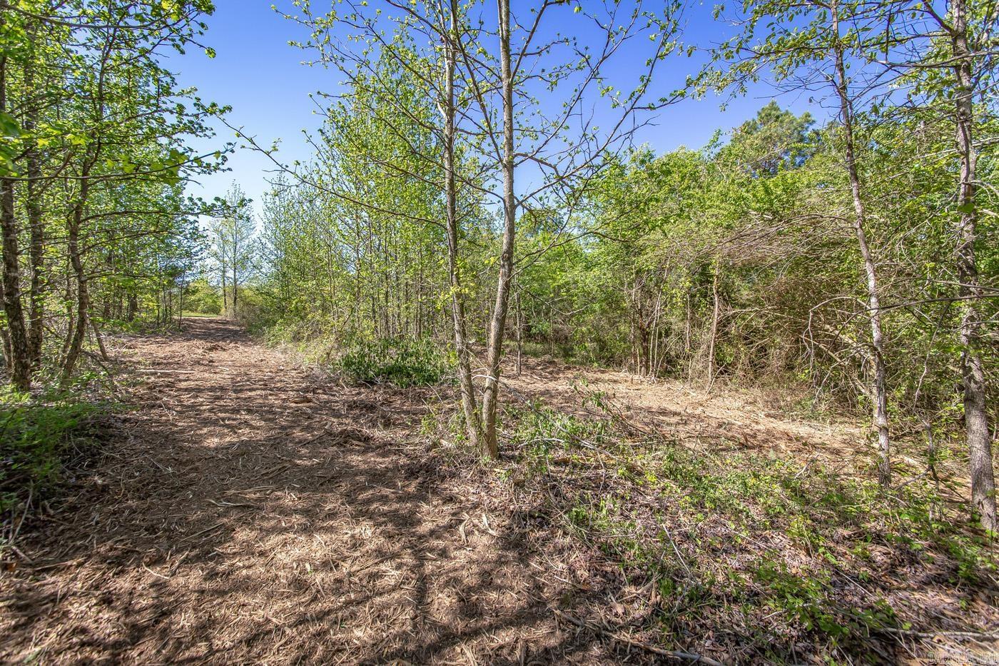 00 Buena Vista  Clinton, AR