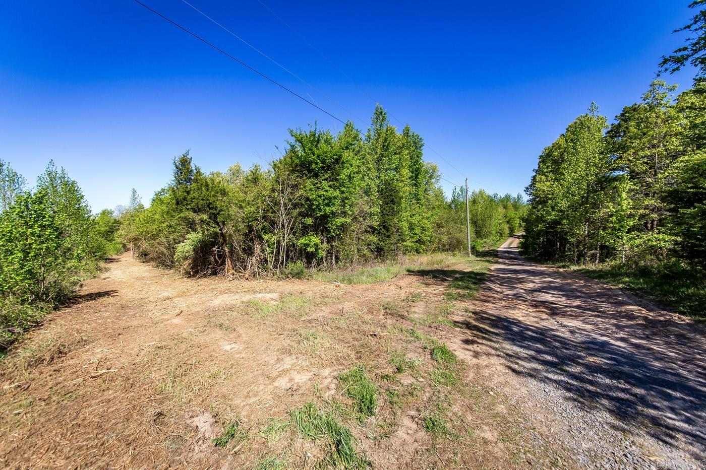 00 Buena Vista  Clinton, AR