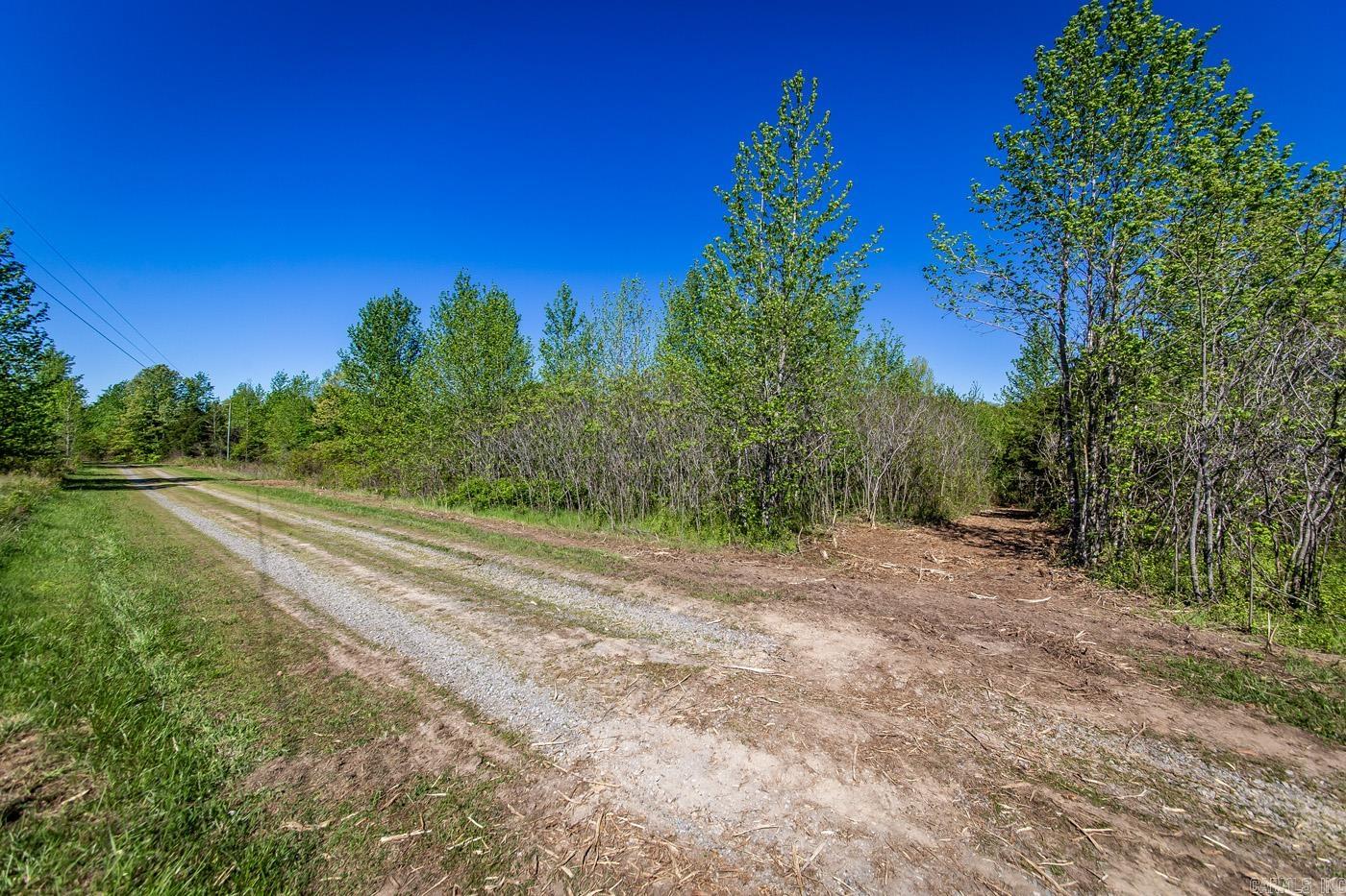 00 Buena Vista  Clinton, AR