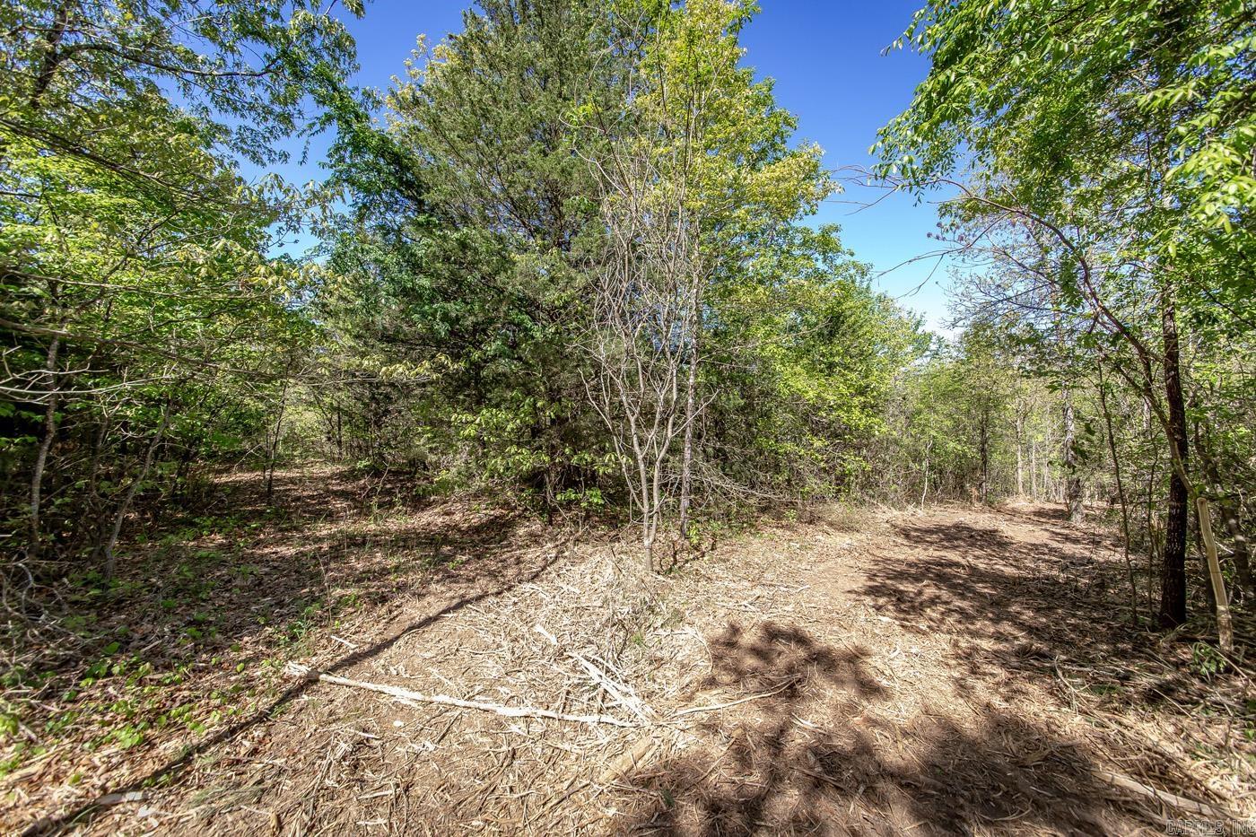 00 Buena Vista  Clinton, AR