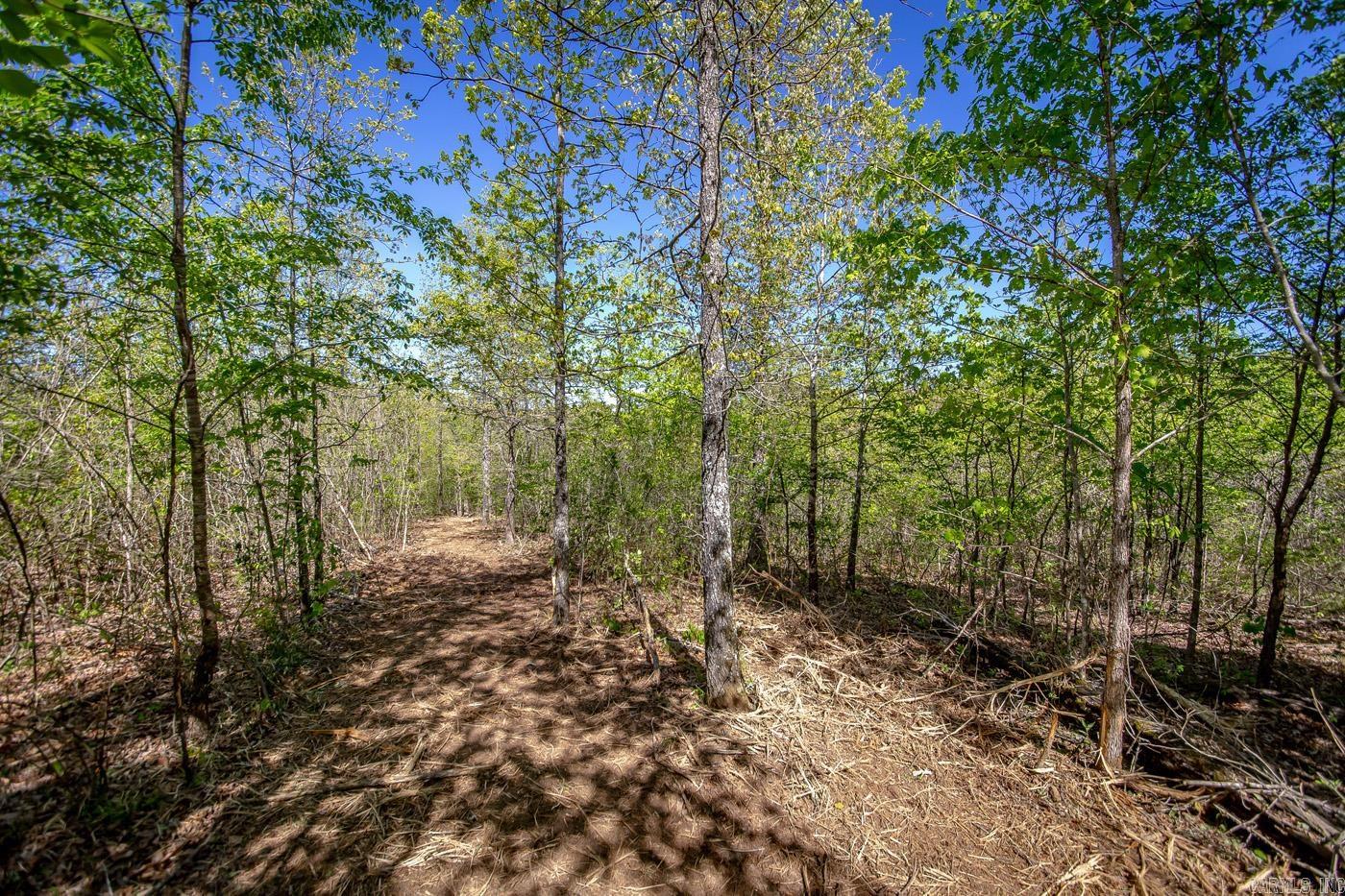 00 Buena Vista  Clinton, AR