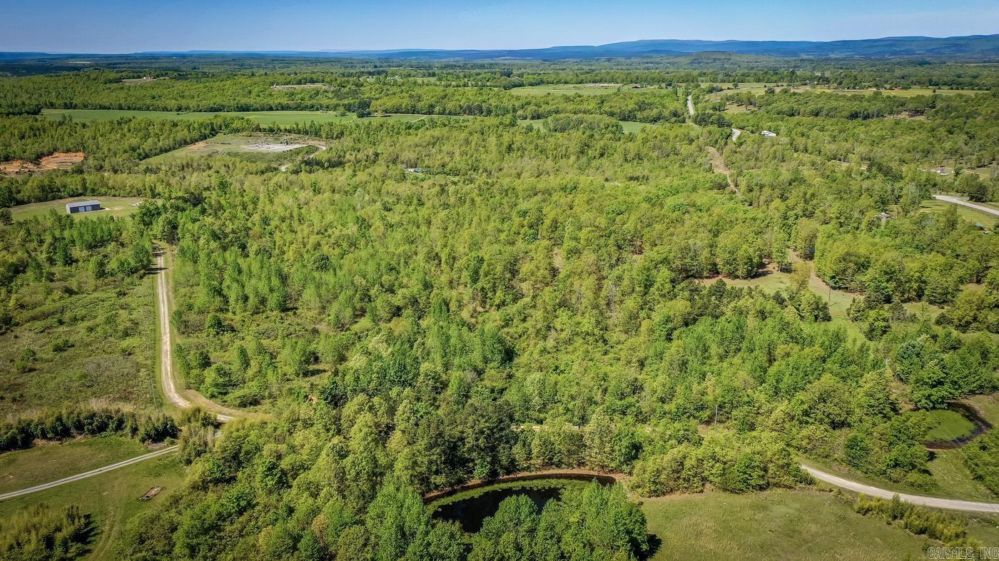 00 Buena Vista  Clinton, AR