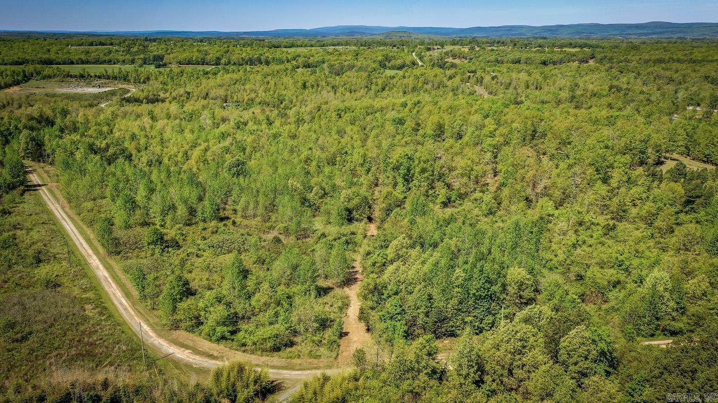 00 Buena Vista  Clinton, AR