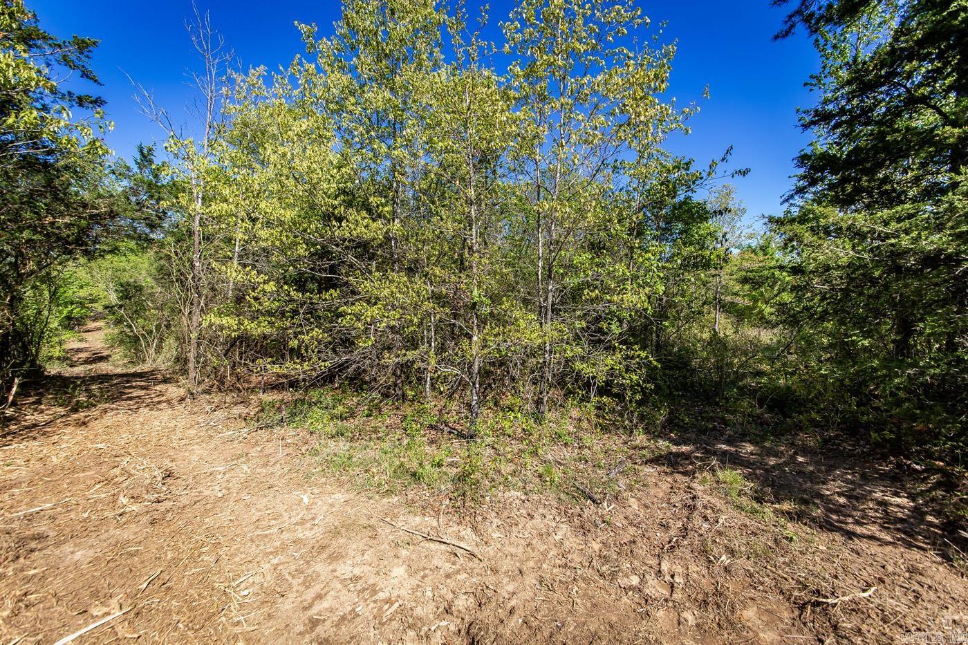 00 Buena Vista  Clinton, AR