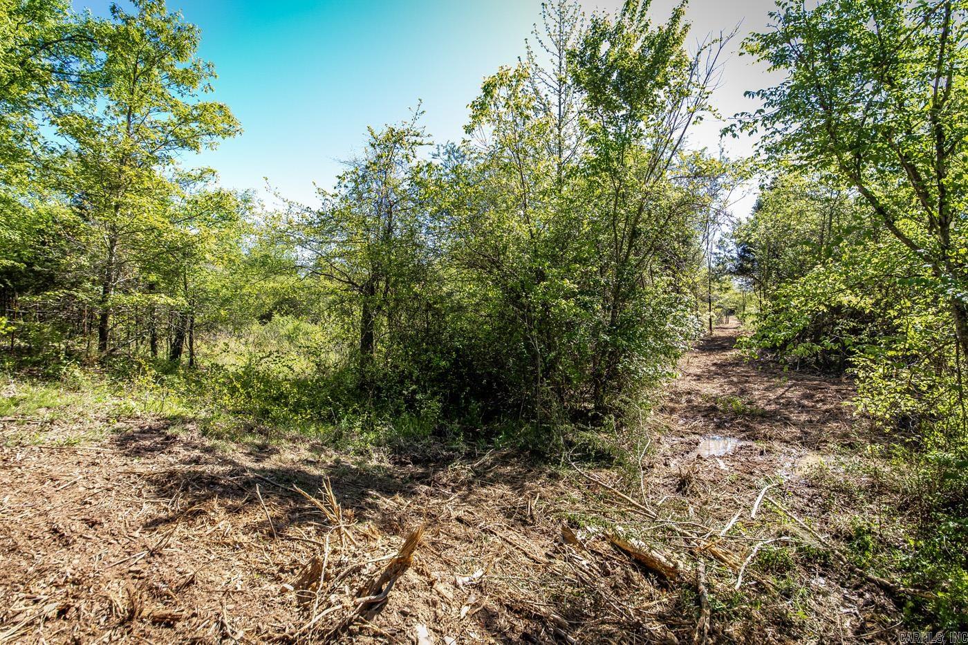 00 Buena Vista  Clinton, AR