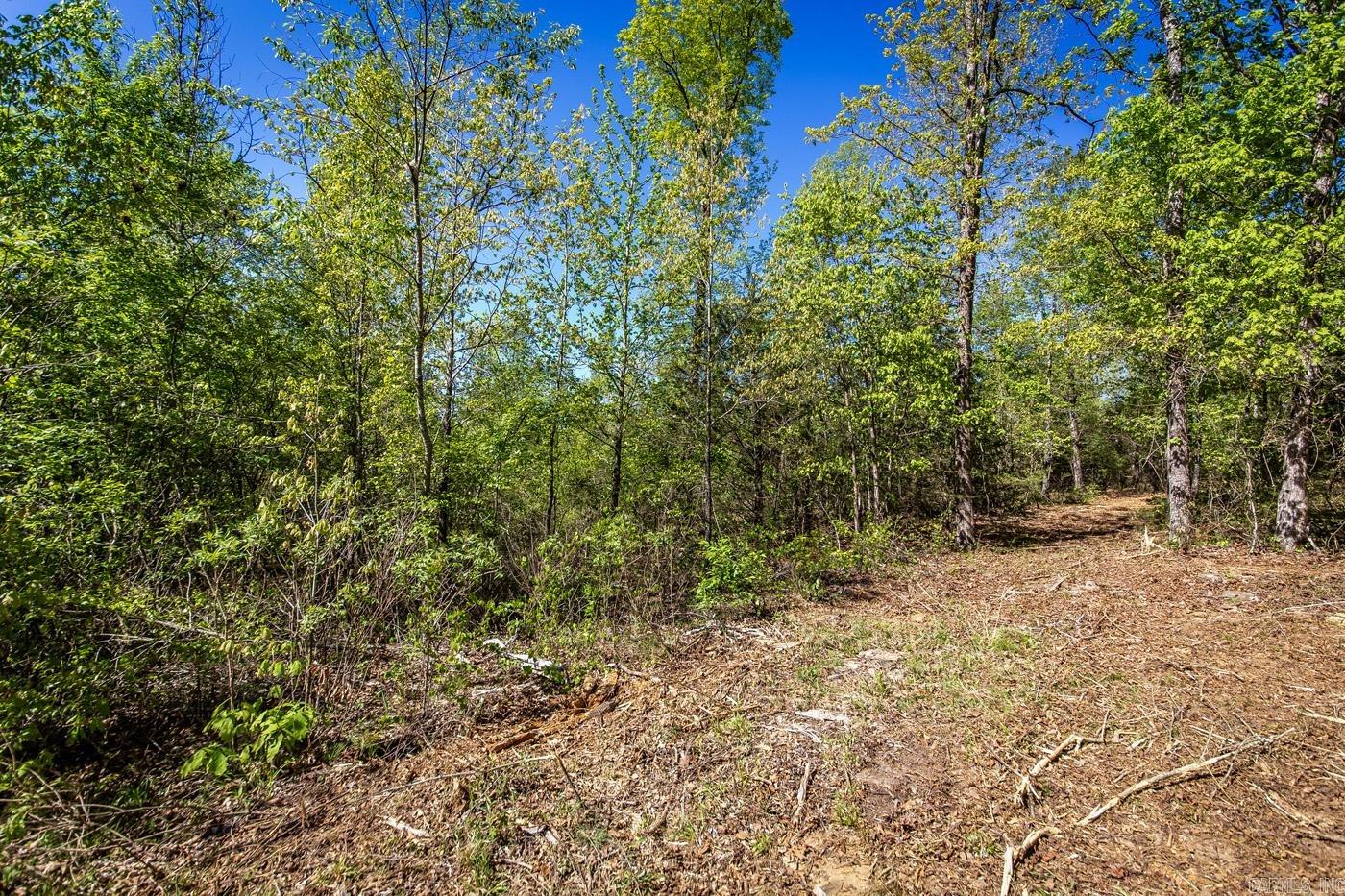 00 Buena Vista  Clinton, AR