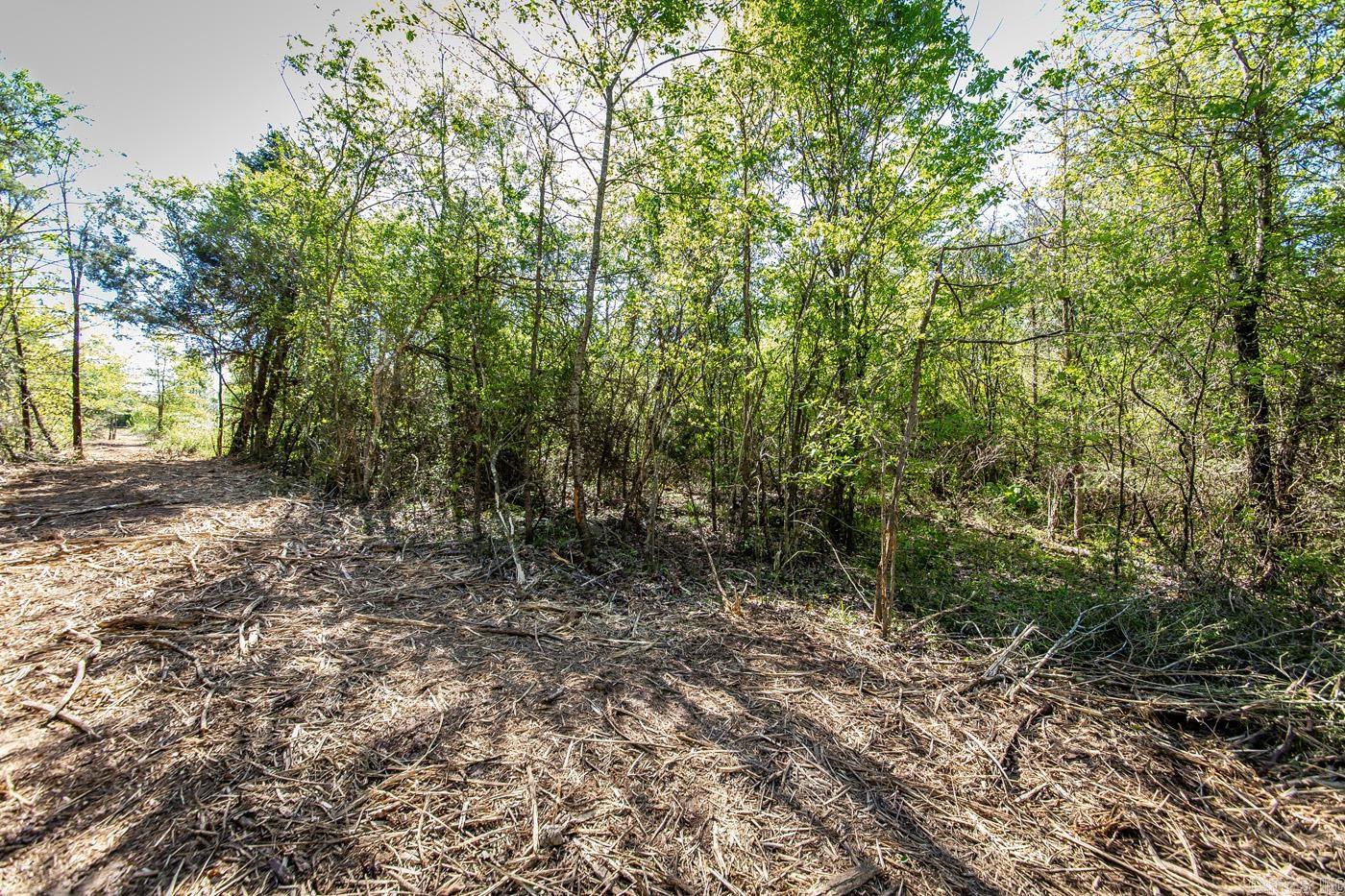 00 Buena Vista  Clinton, AR